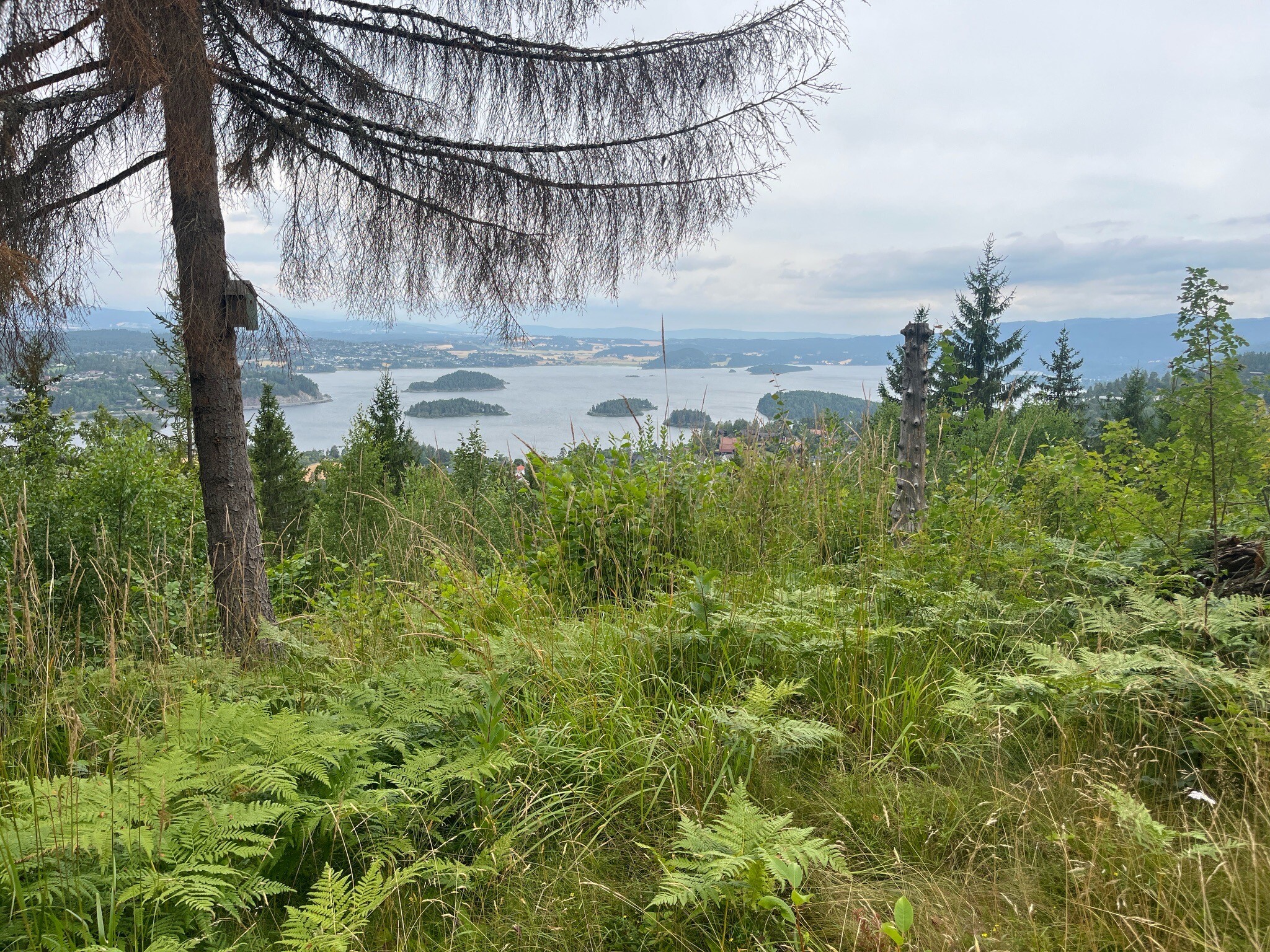 Sundvollen omhoog