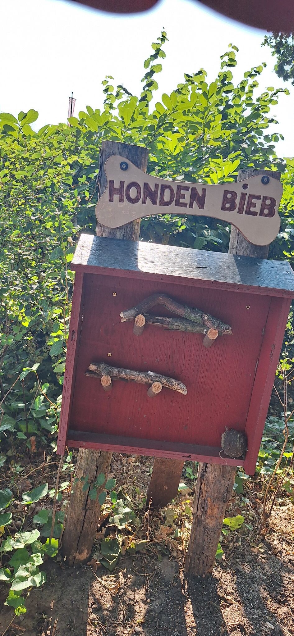 Dongen