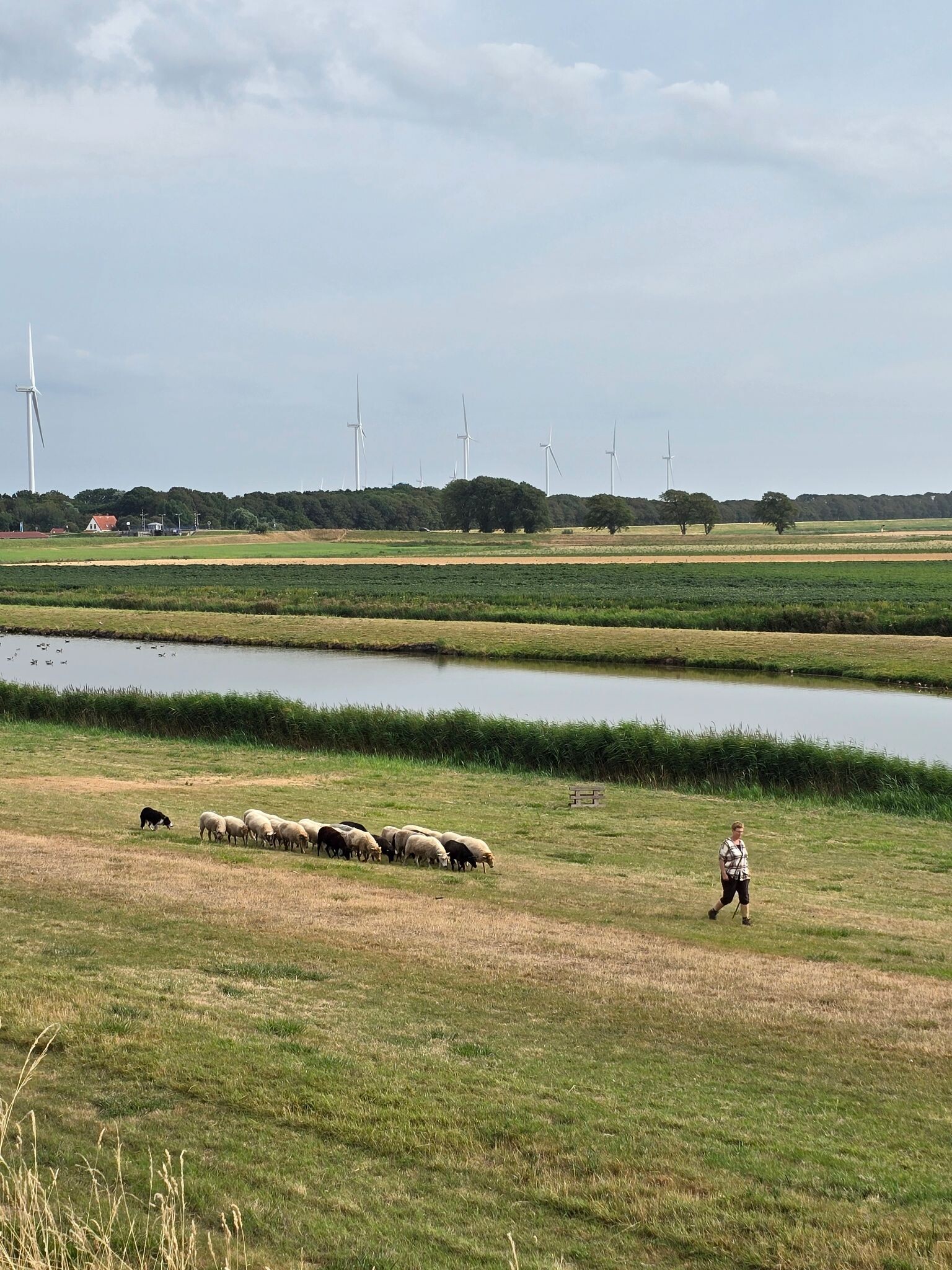 Oostpolderroute (groen)