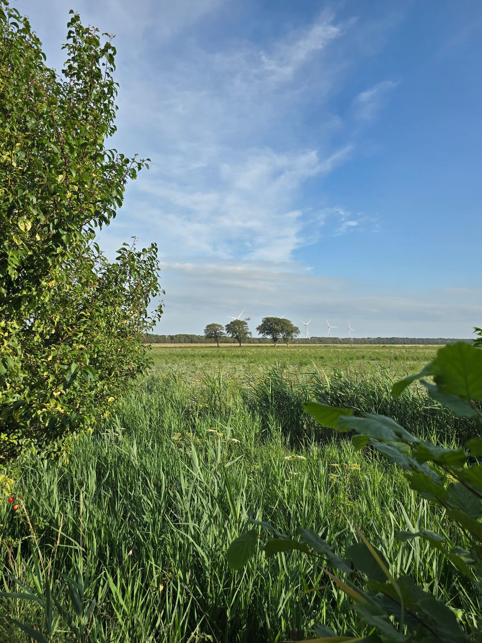 Nieuwe plek, kleine wandeling om omgeving te verkennen