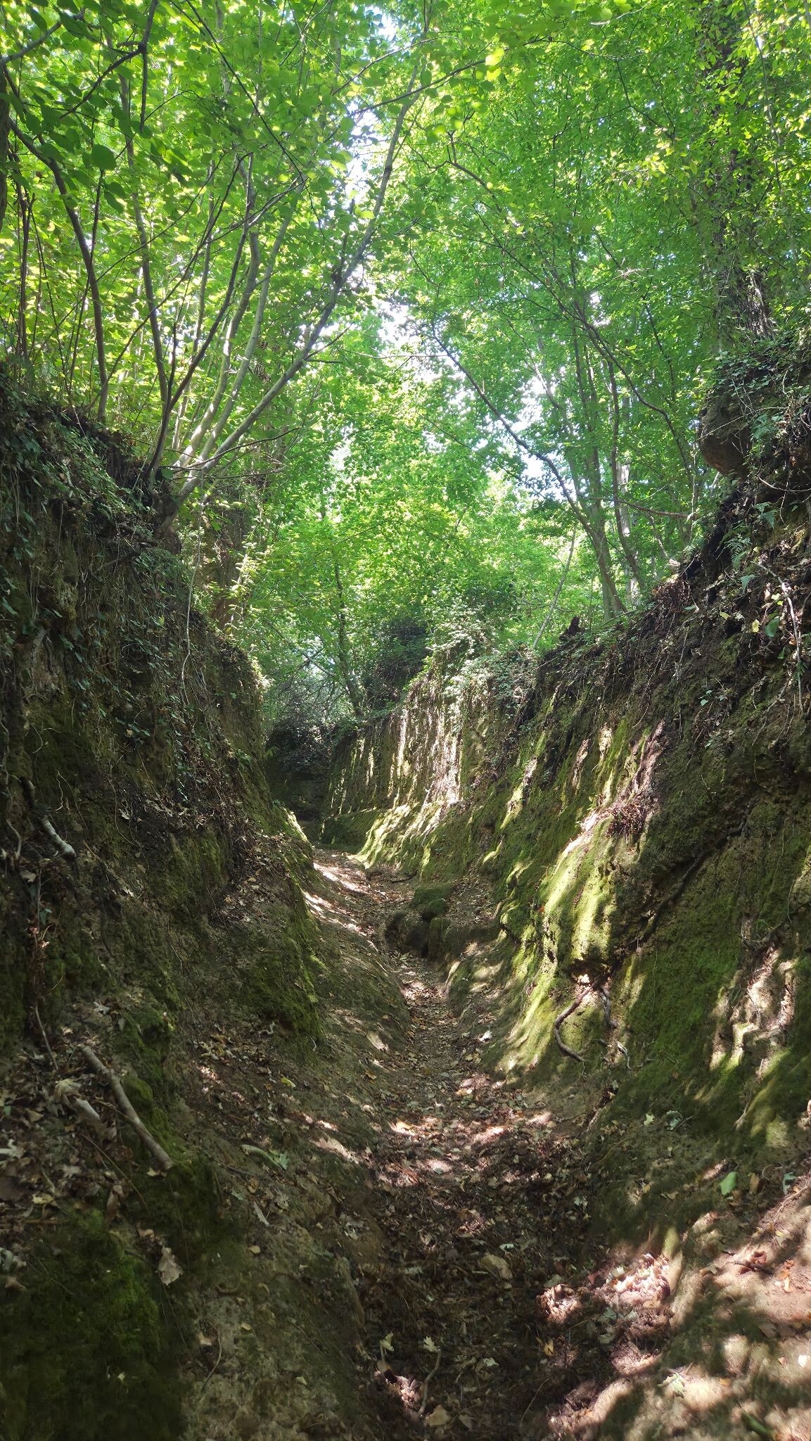 Vie Cave Sovana