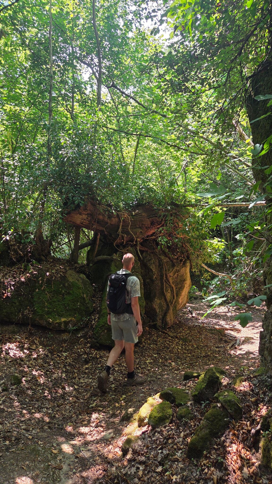 Vie Cave Sovana