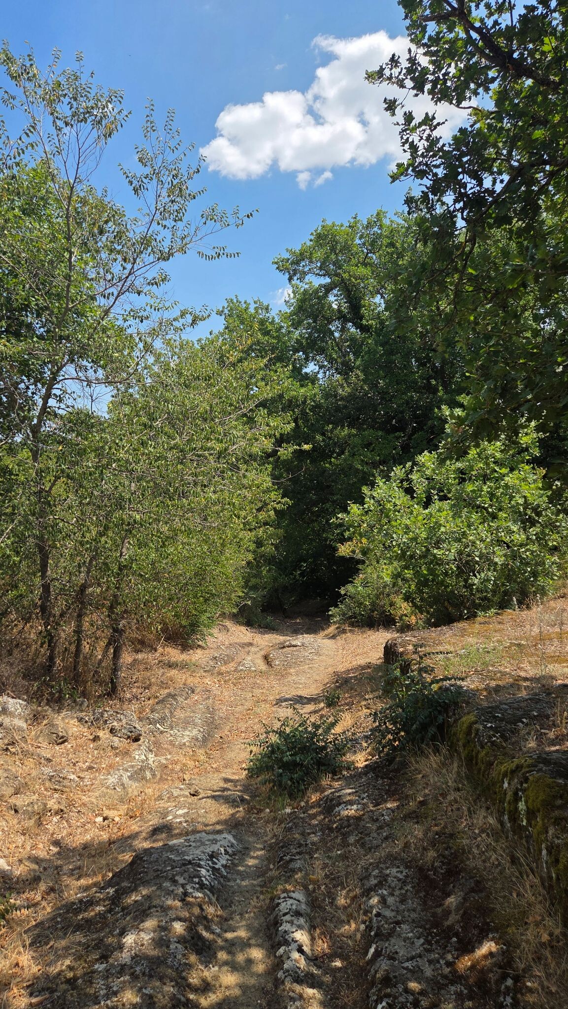 Vie Cave Sovana