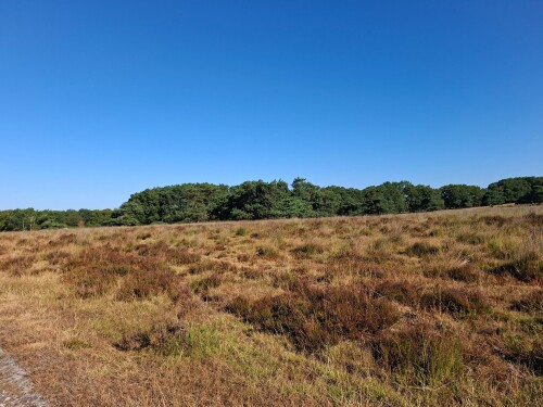 Natuurwandeling oorlogsgeschiedenis Veluwezoom