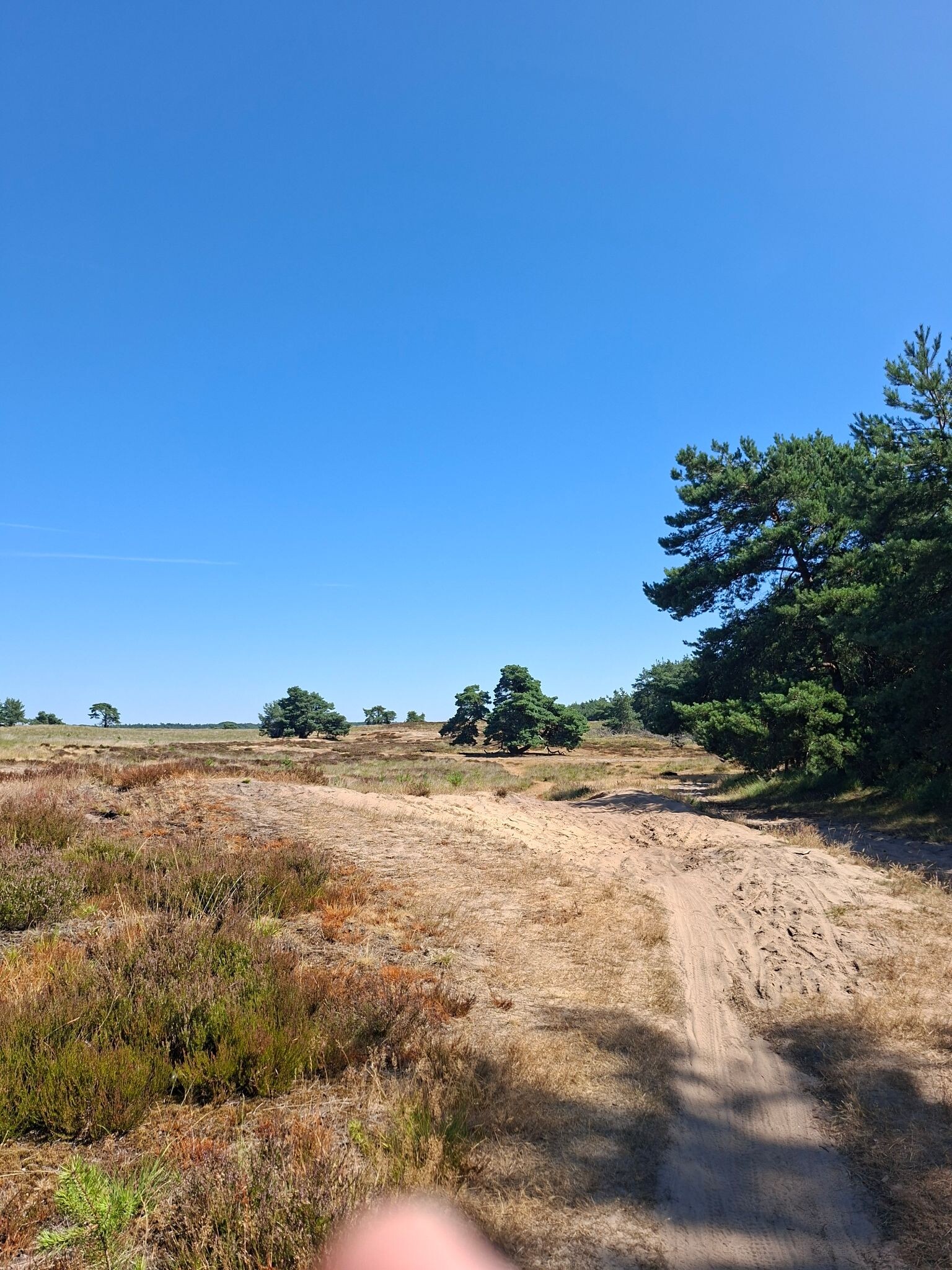 Natuurwandeling oorlogsgeschiedenis Veluwezoom