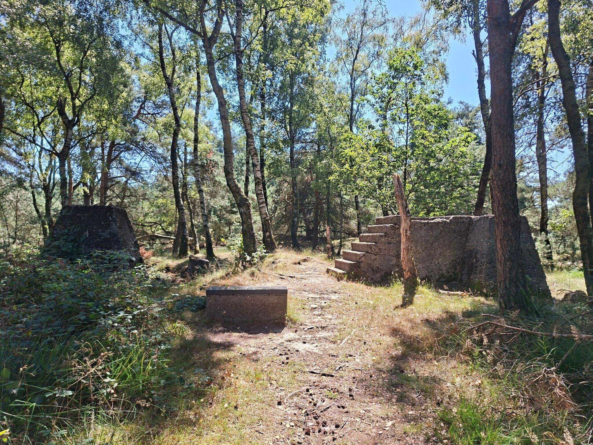 Rozendaal