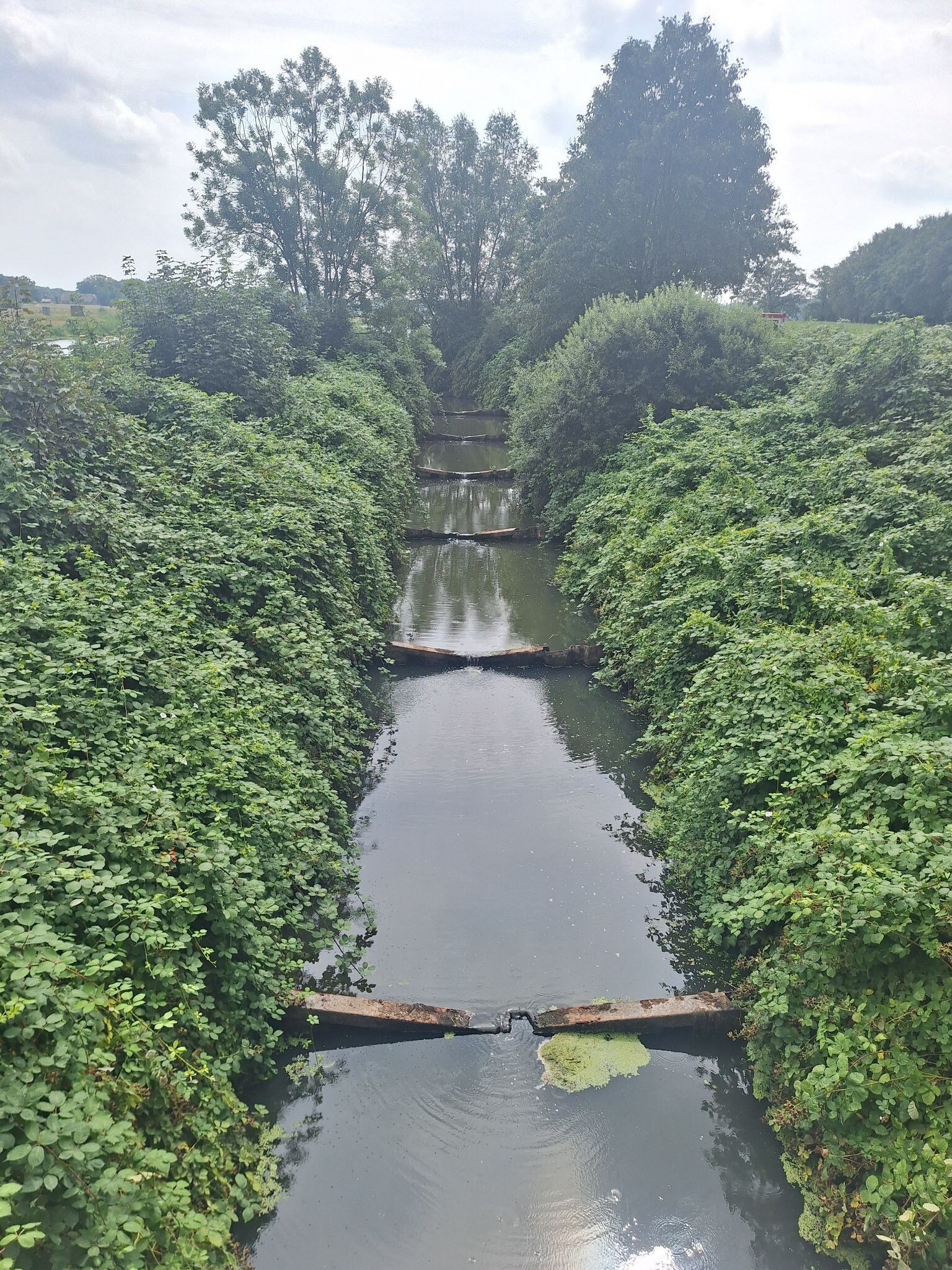 Hardenberg - Ommen · Pieterpad etappe 9
