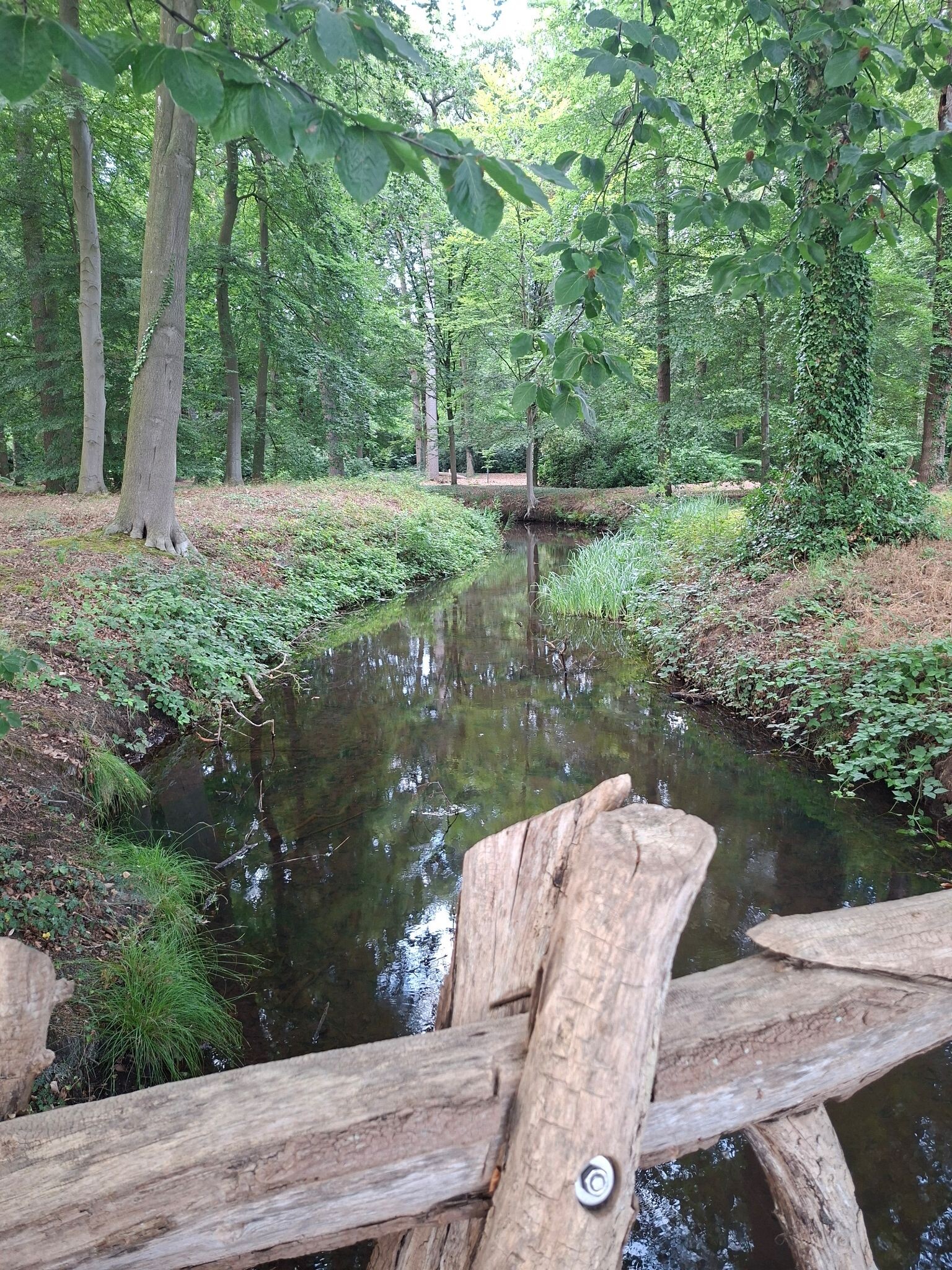 Kranenkamp - Rood