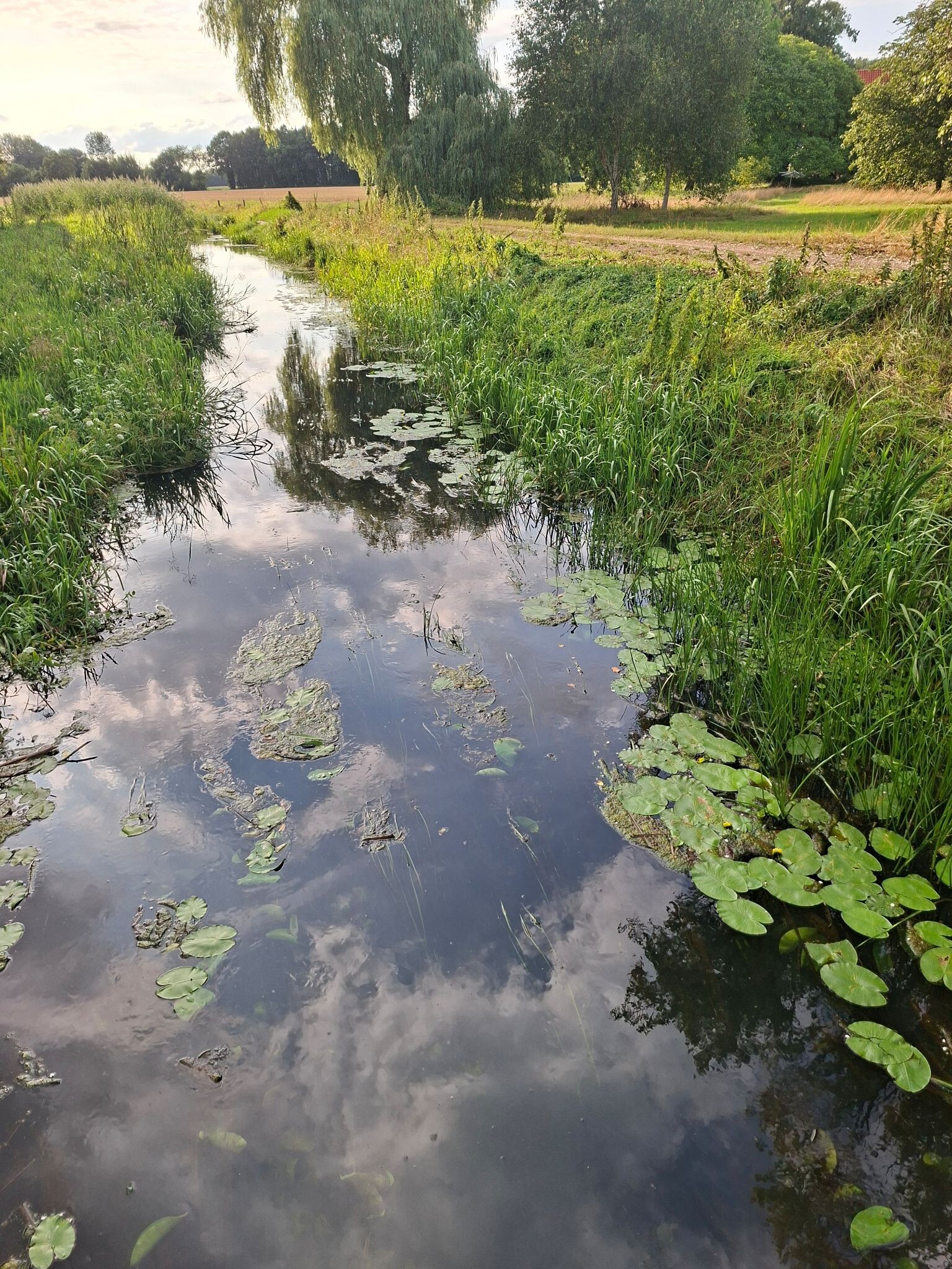Diepenveen