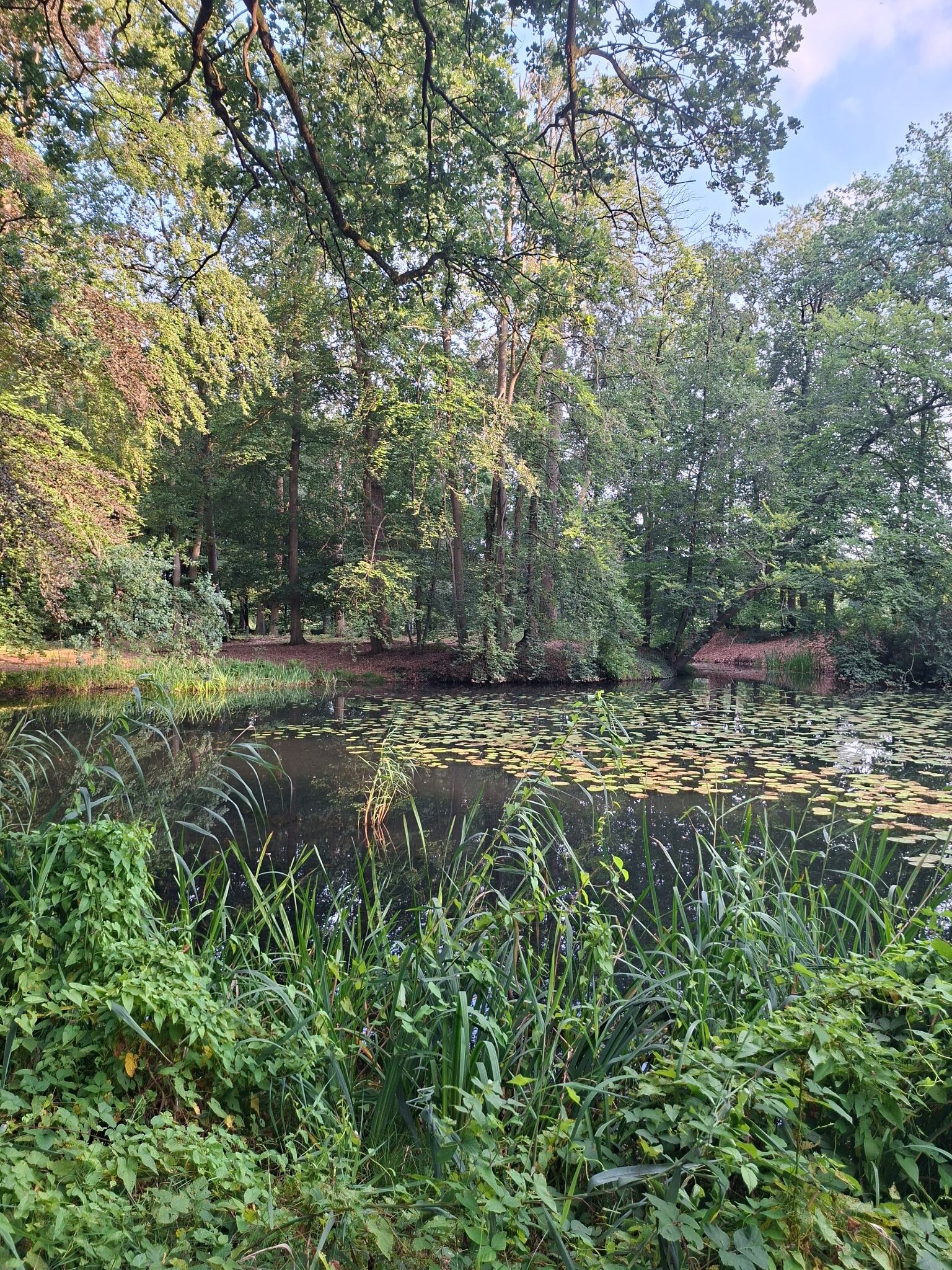 Kranenkamp - Rood
