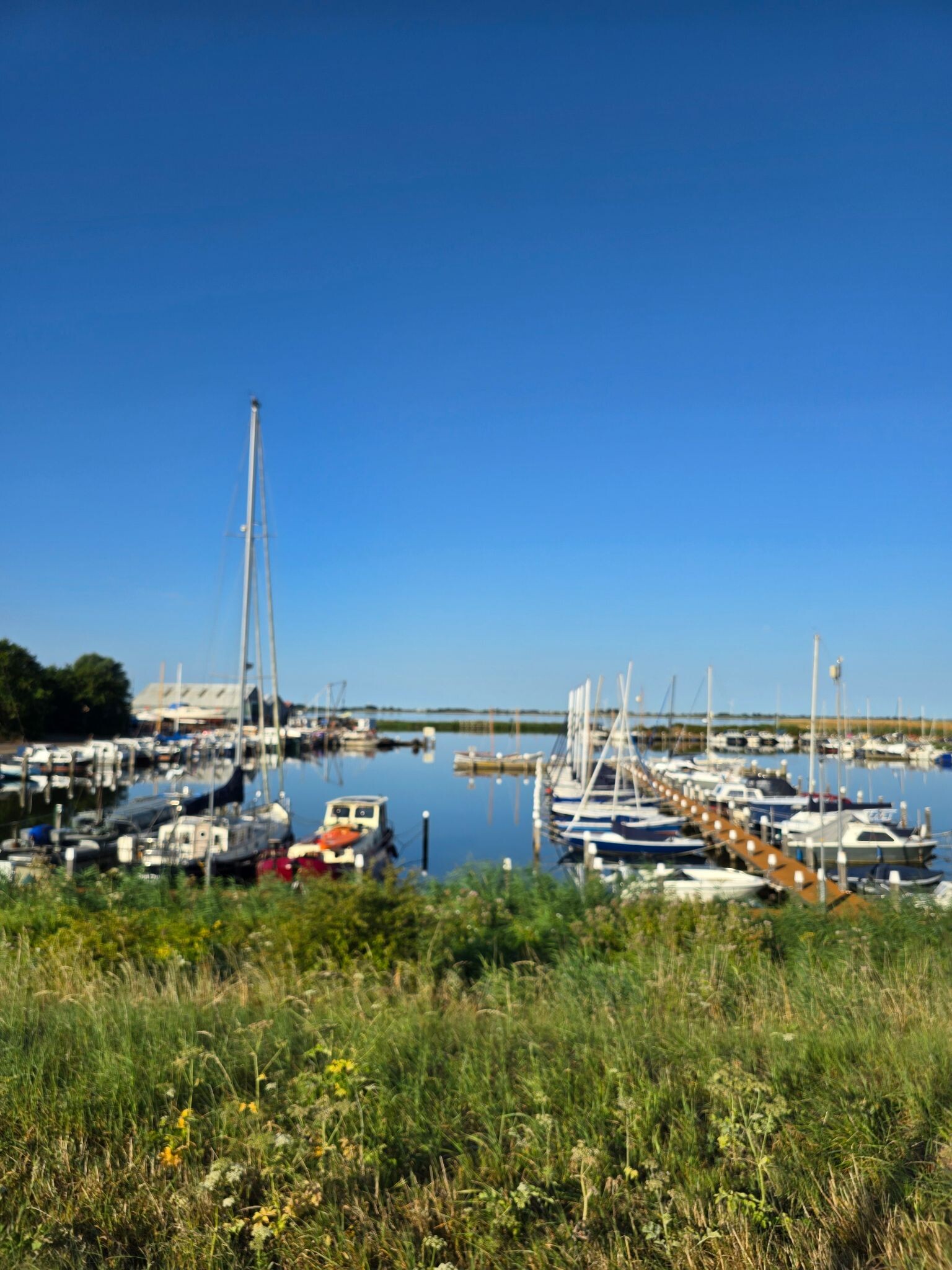 Wieringerwaard - Westerland - Ziltepad etappe 4