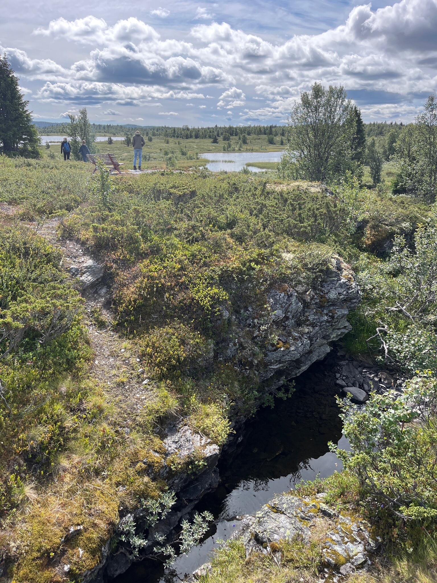 Innlandet