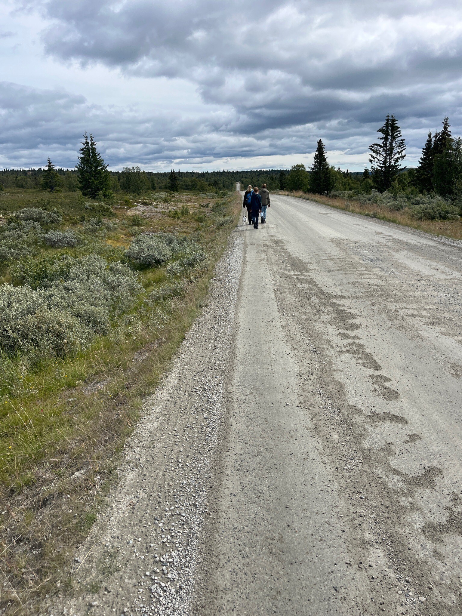 Innlandet