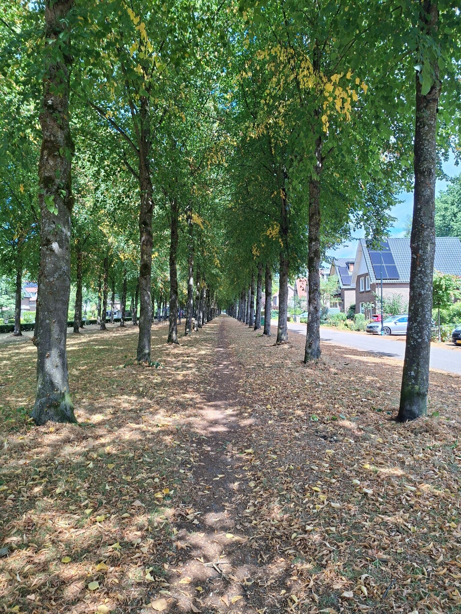 Podwalk Oranjes op de vlucht - Apeldoorn