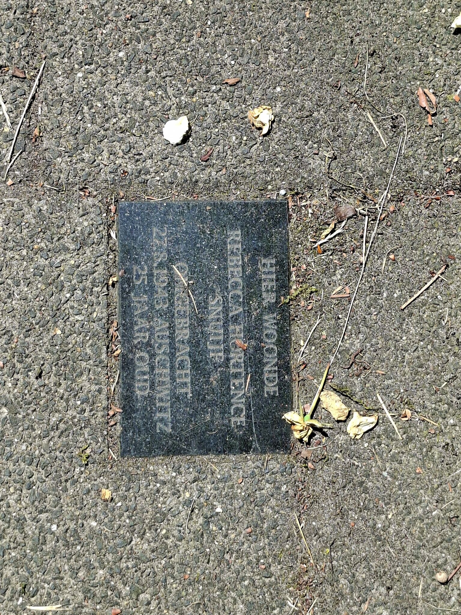 Podwalk Oranjes op de vlucht - Apeldoorn