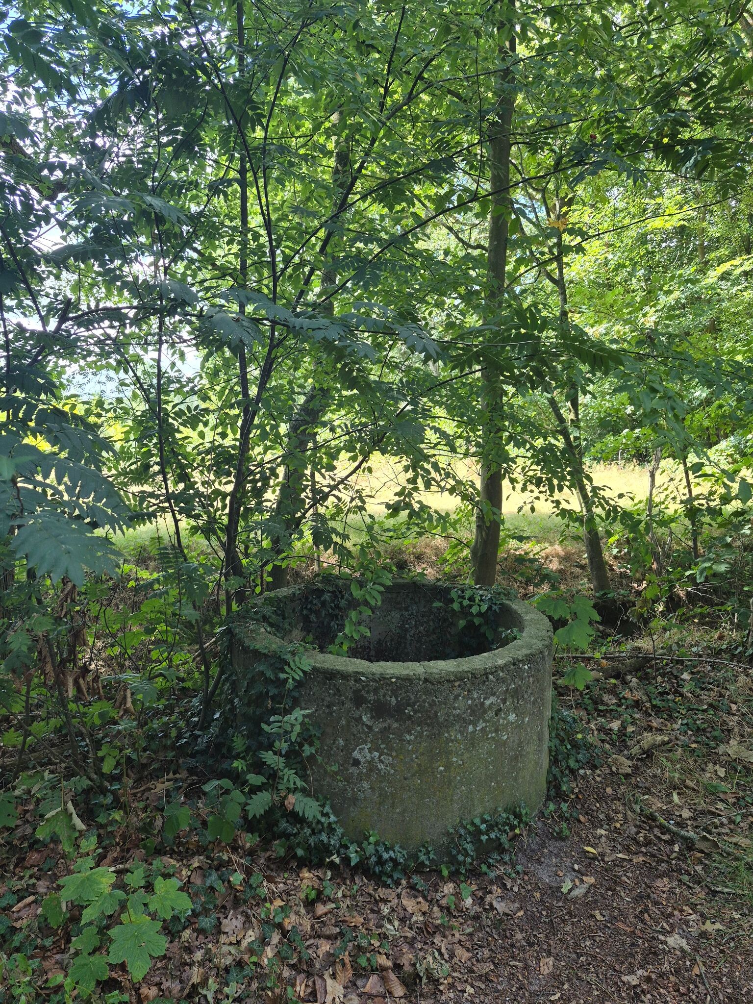 Holten - Laren · Pieterpad etappe 12