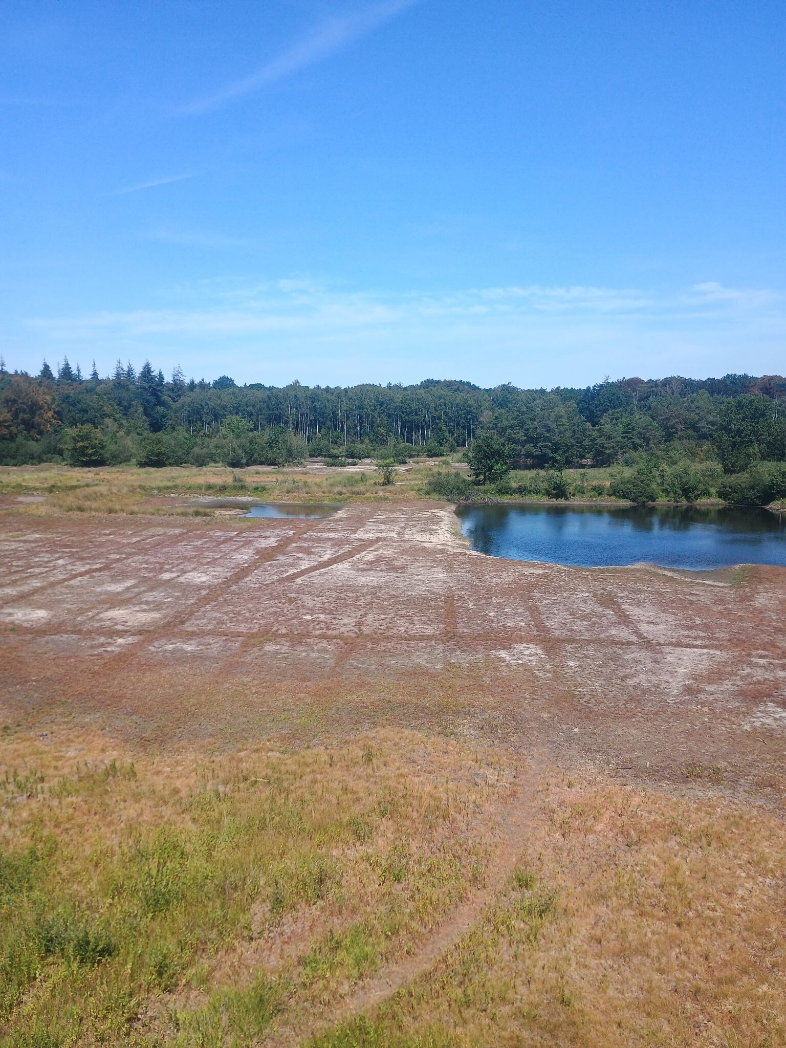 Wandeling door Bulskampveld.