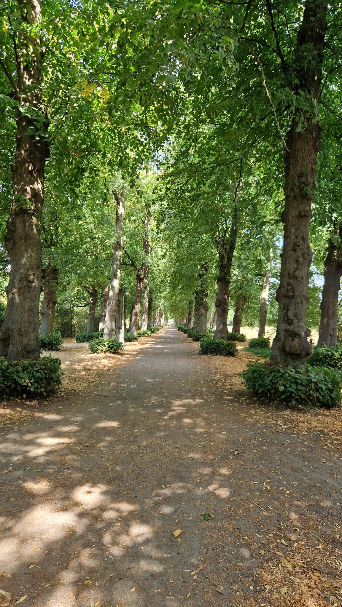East Flanders