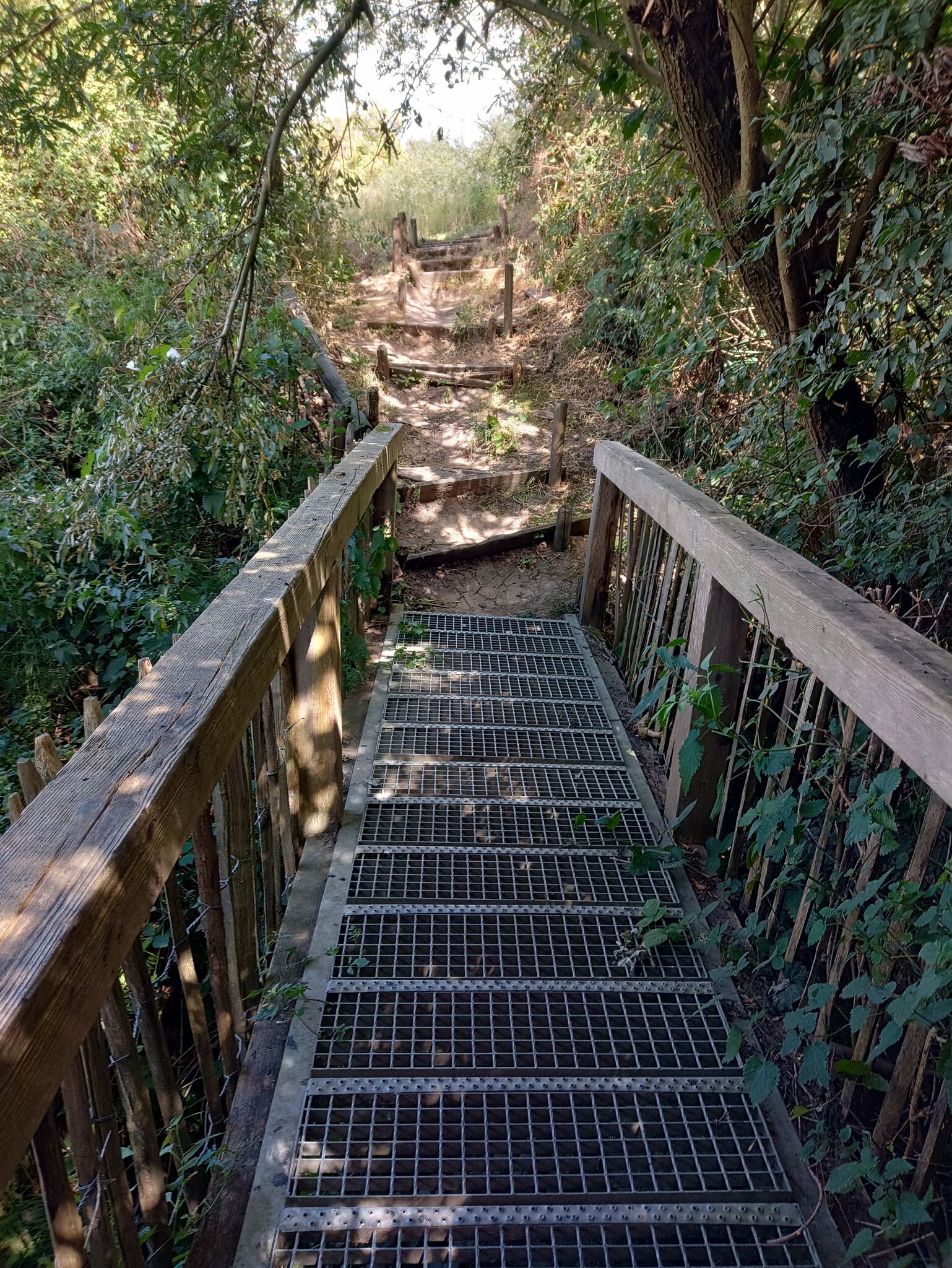 Twee bekenwandelroute