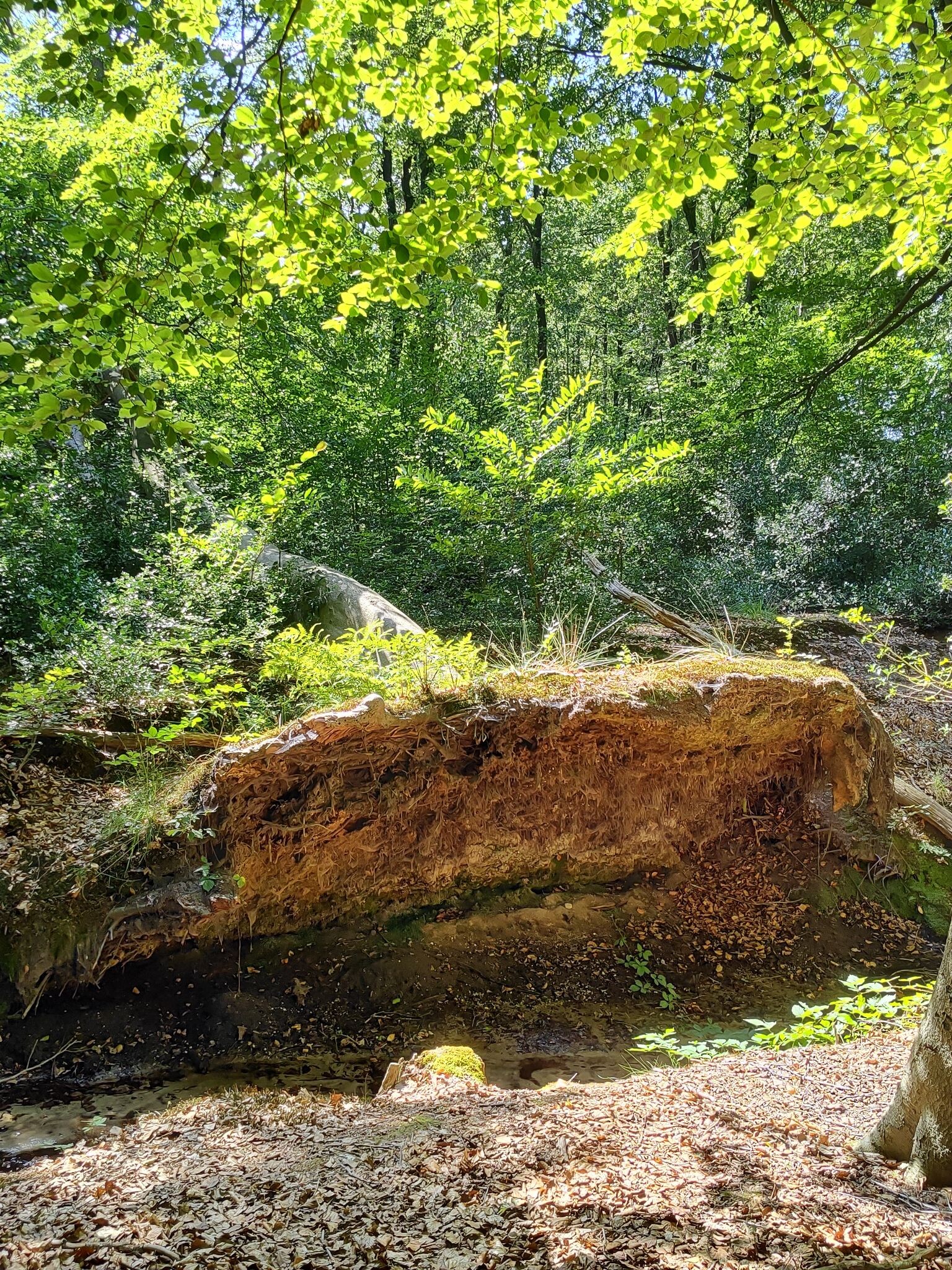 Landgoed Staverden