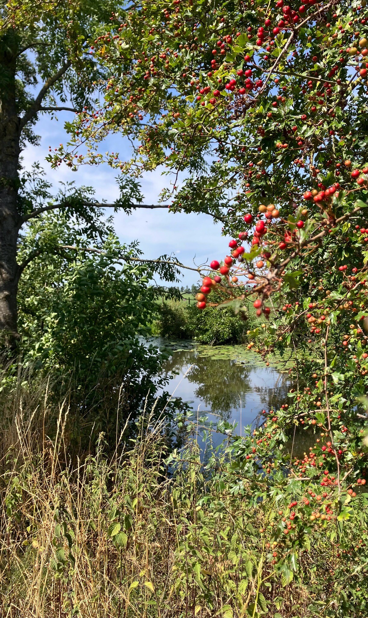 Boergondische wandelroute