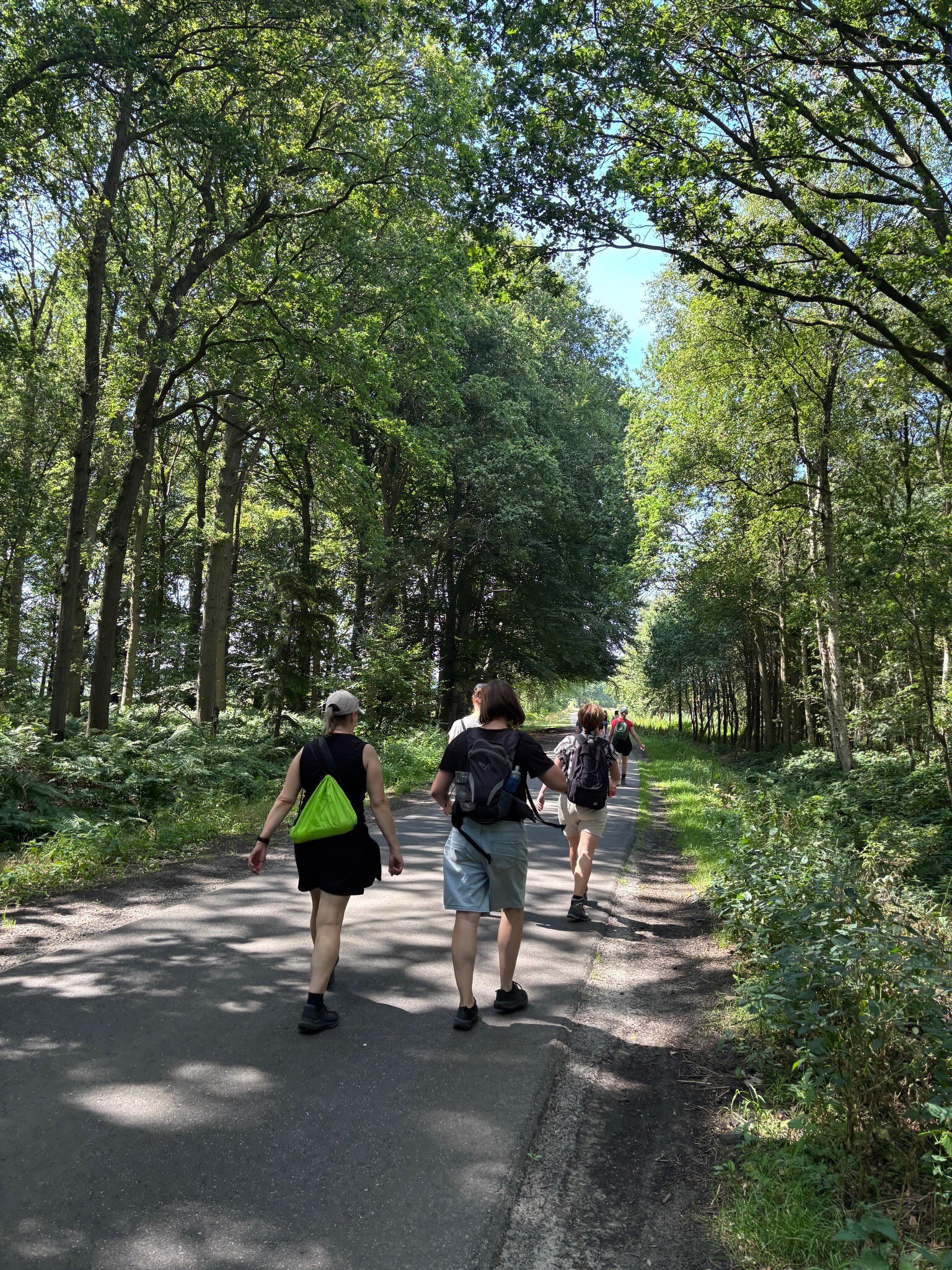 Holsloot