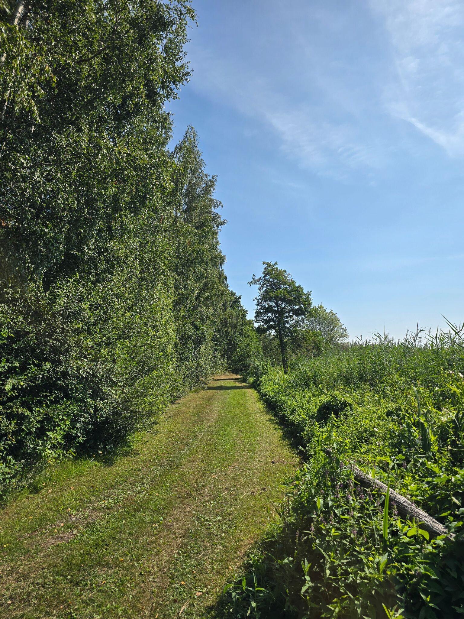 Rondje bossen van Flevoland