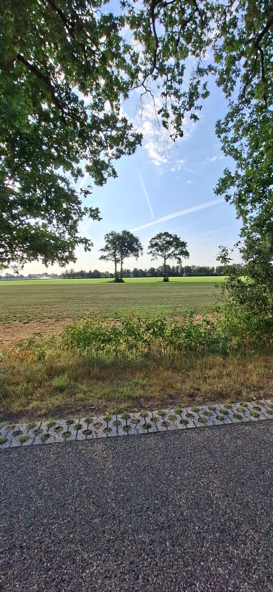 Holten - Laren · Pieterpad etappe 12