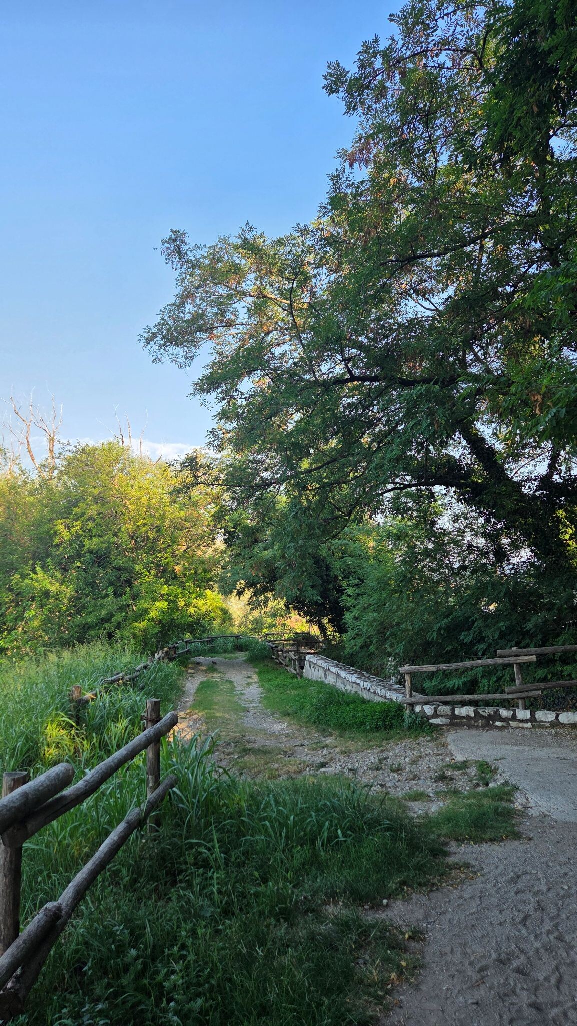 Riserva Naturale Torbiere del Sebino