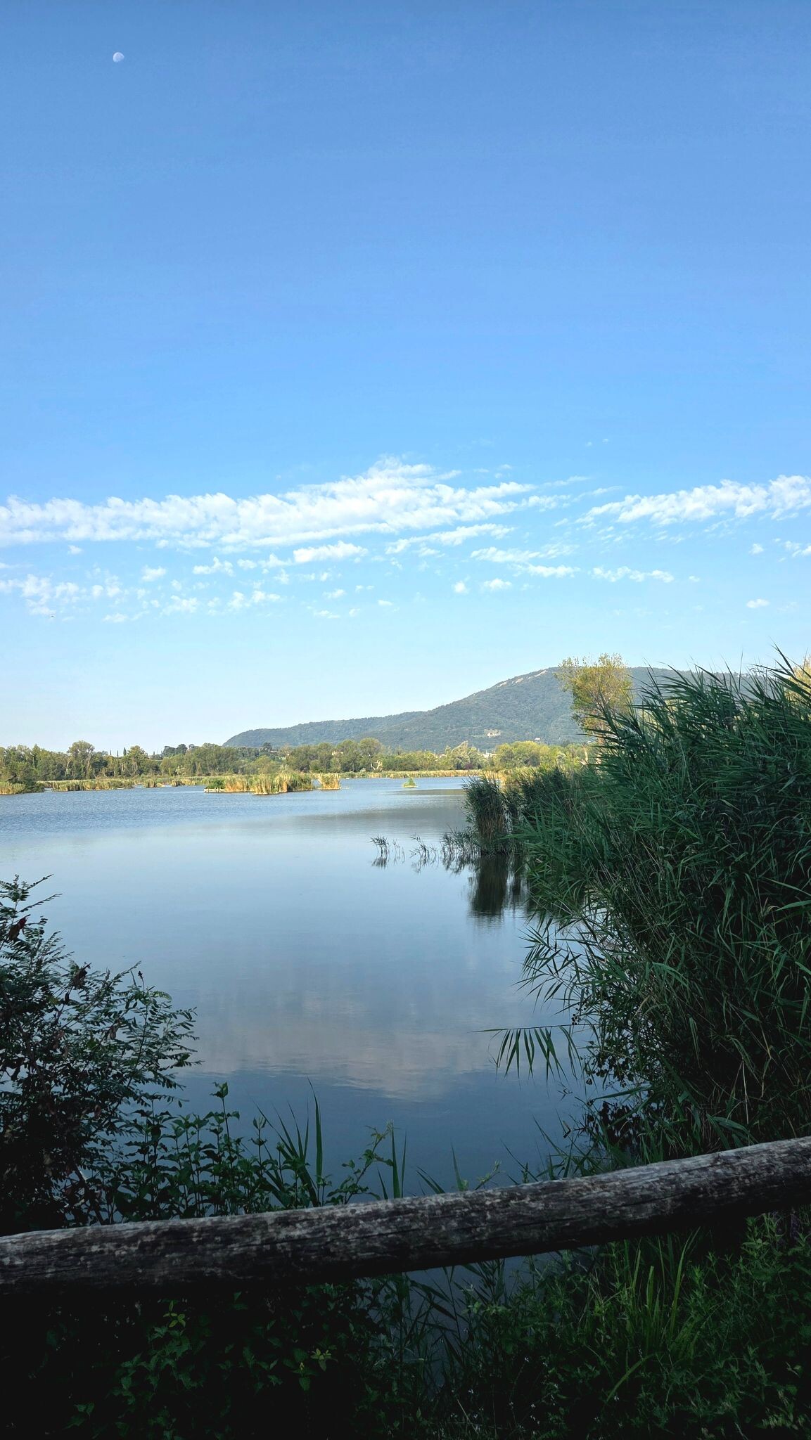 Riserva Naturale Torbiere del Sebino