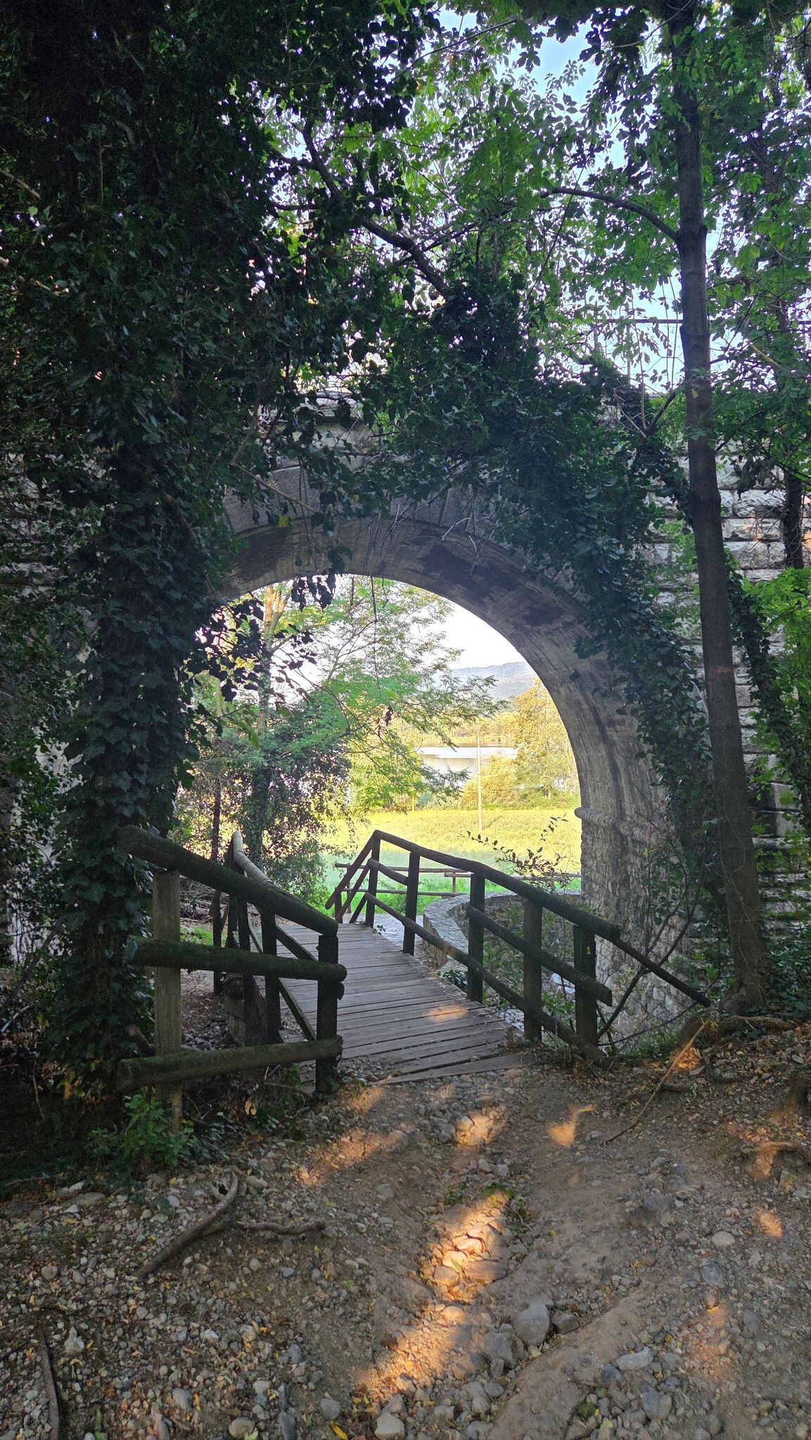 Riserva Naturale Torbiere del Sebino