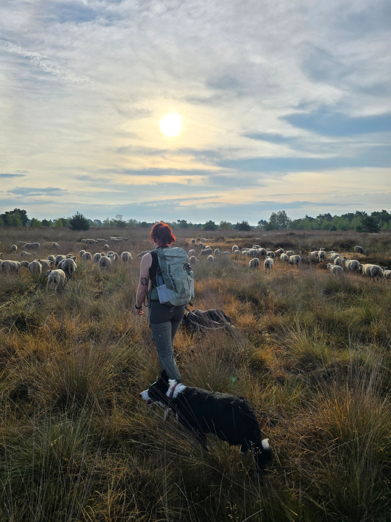 Een ochtend op pad met de schaapherder