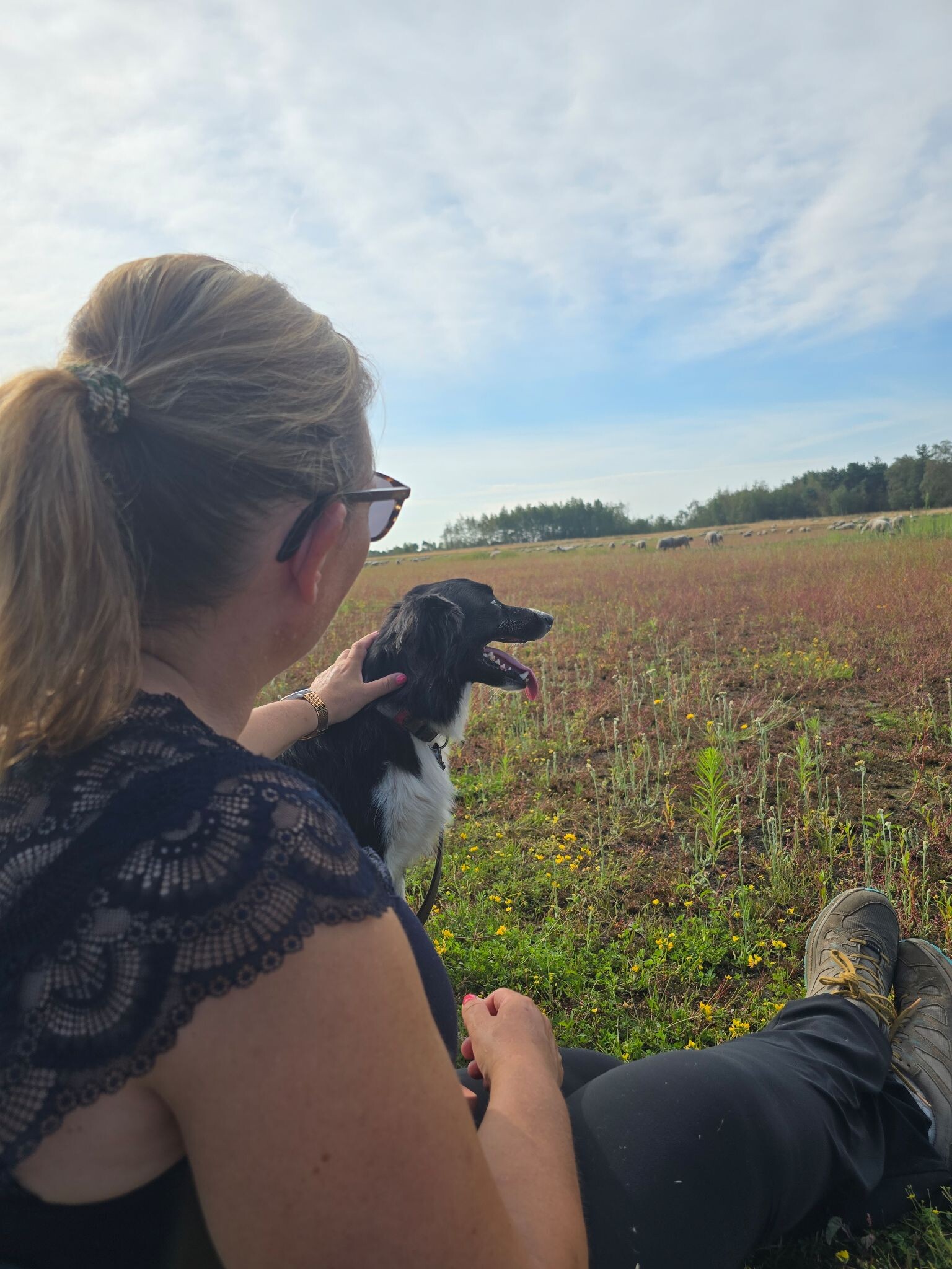 Een ochtend op pad met de schaapherder