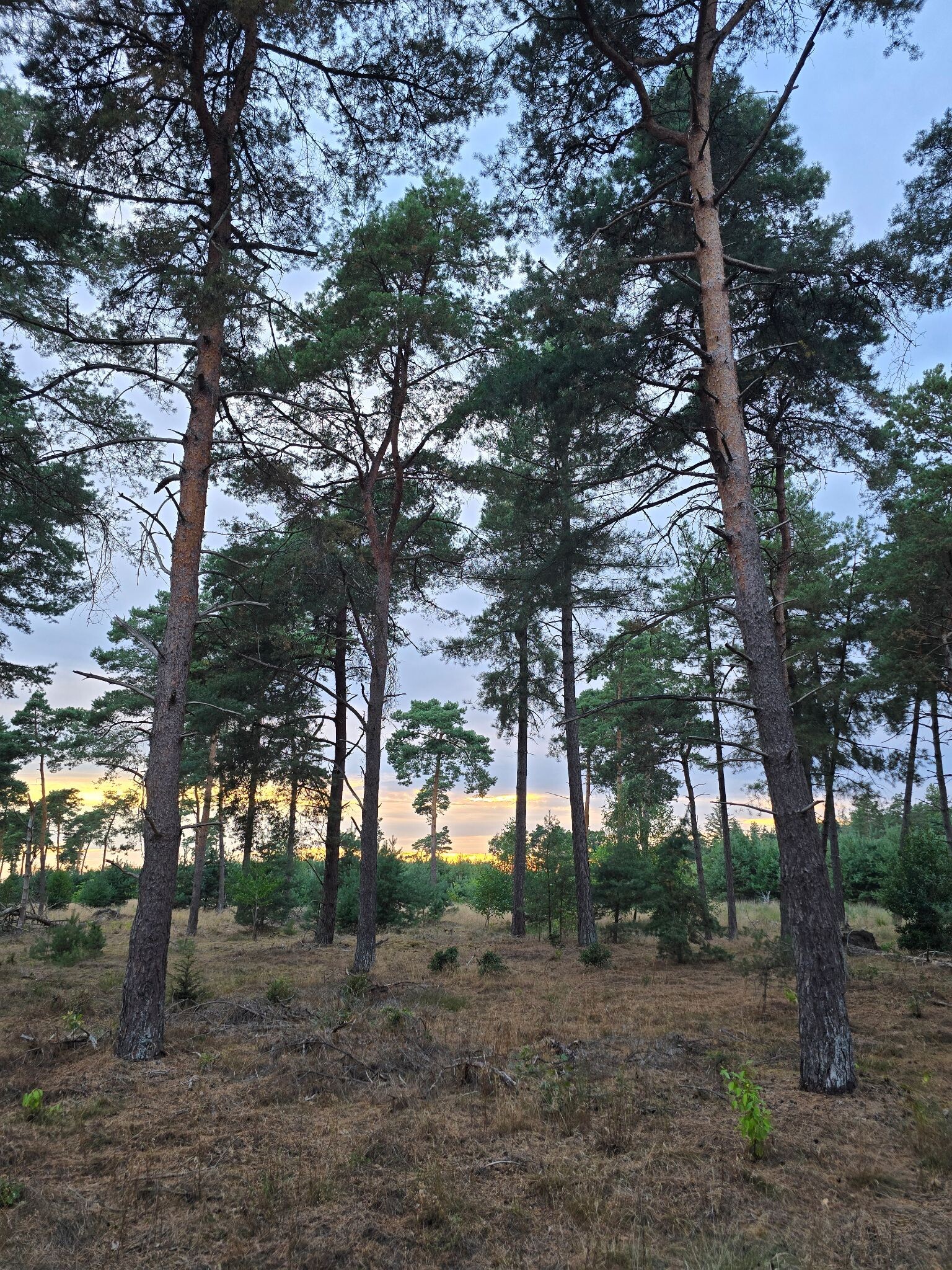 Someren Wandelen