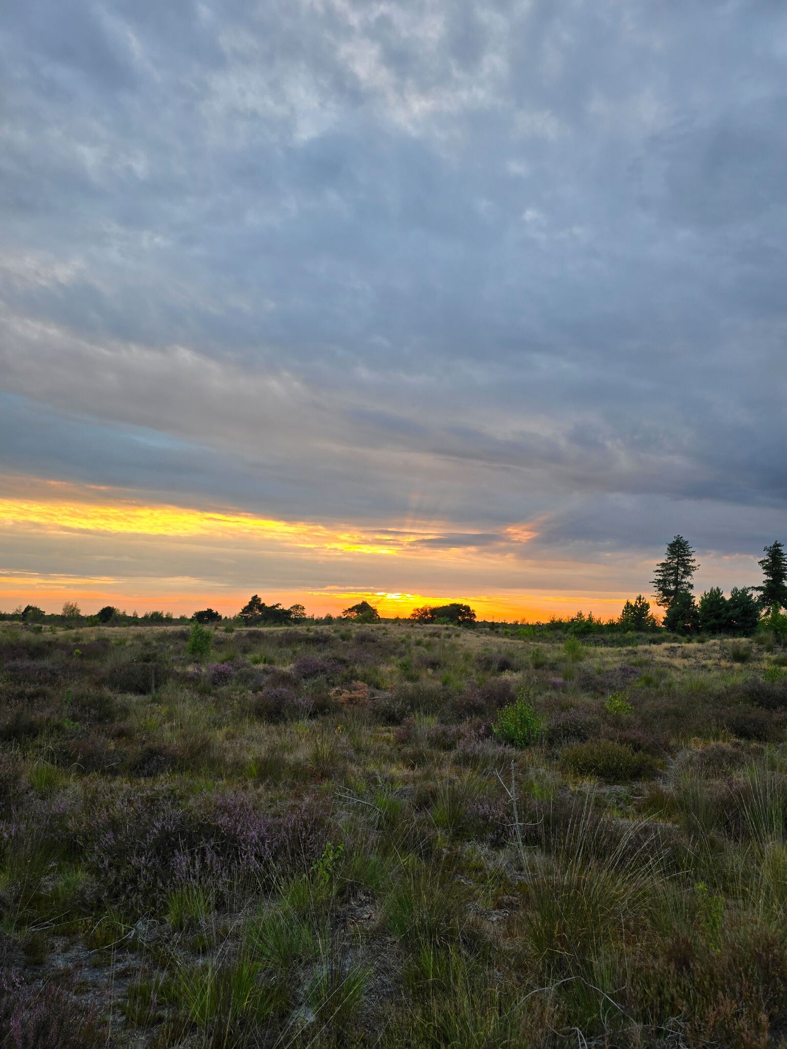 Someren Wandelen