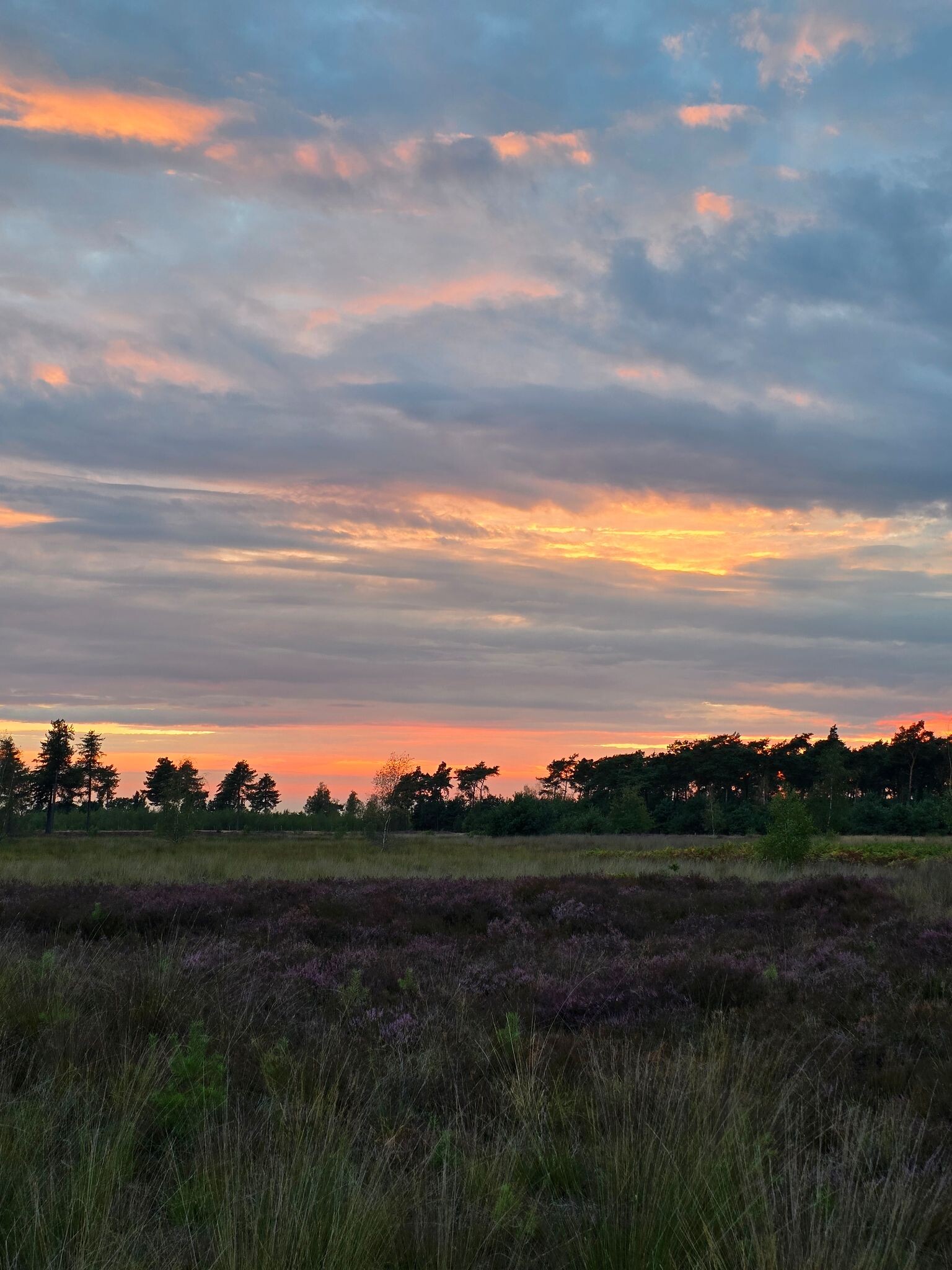 Someren Wandelen