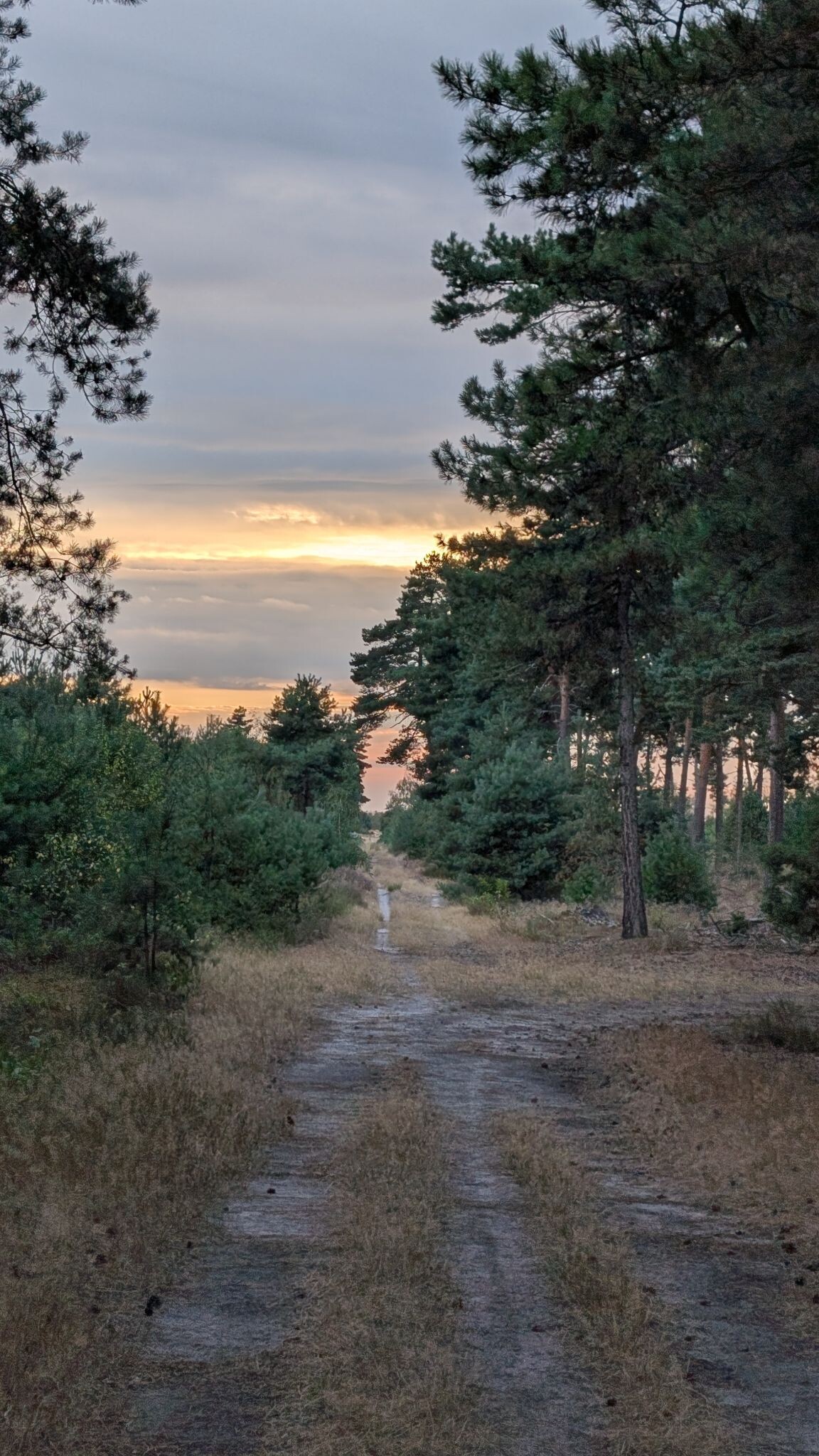 Foto van opname