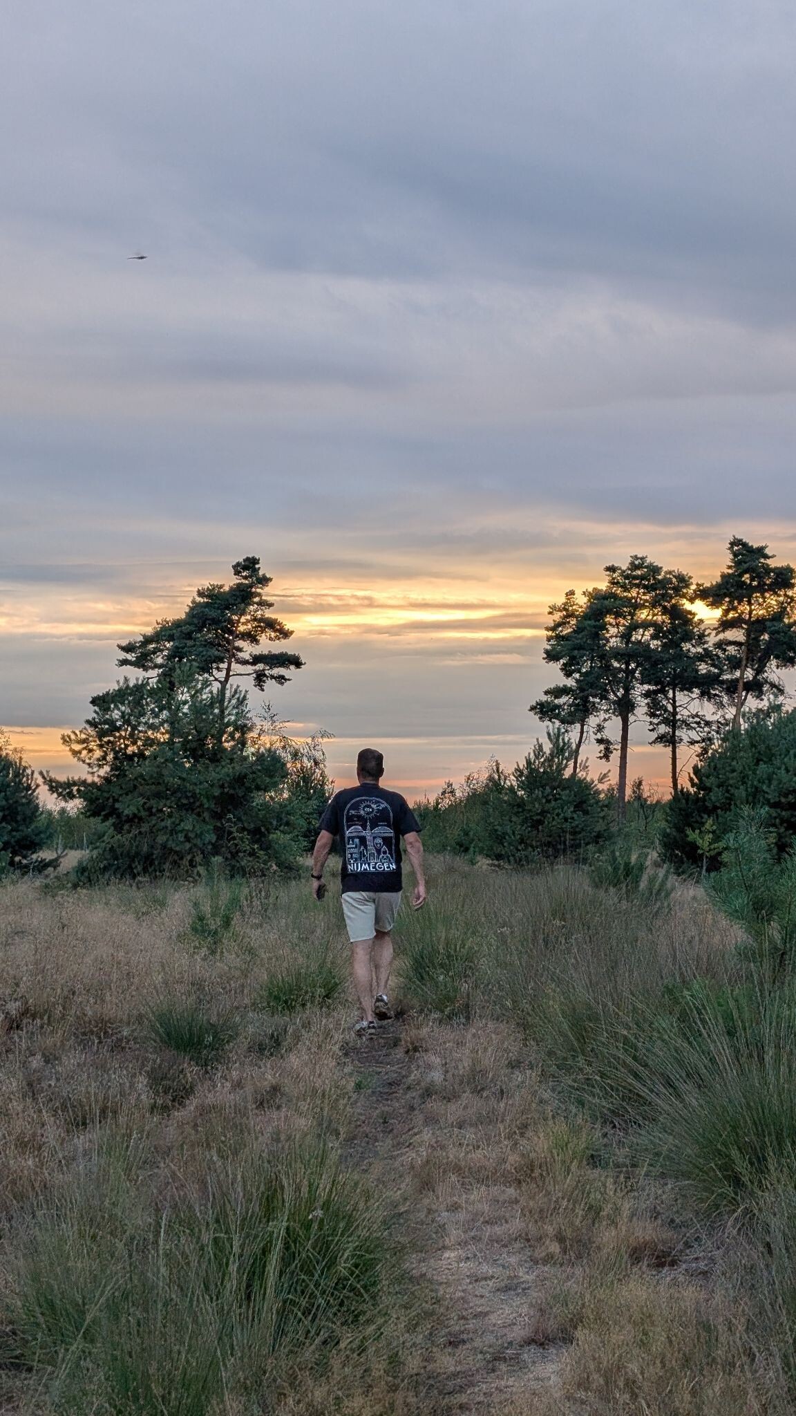 Avondwandeling vanaf Wylderwoods
