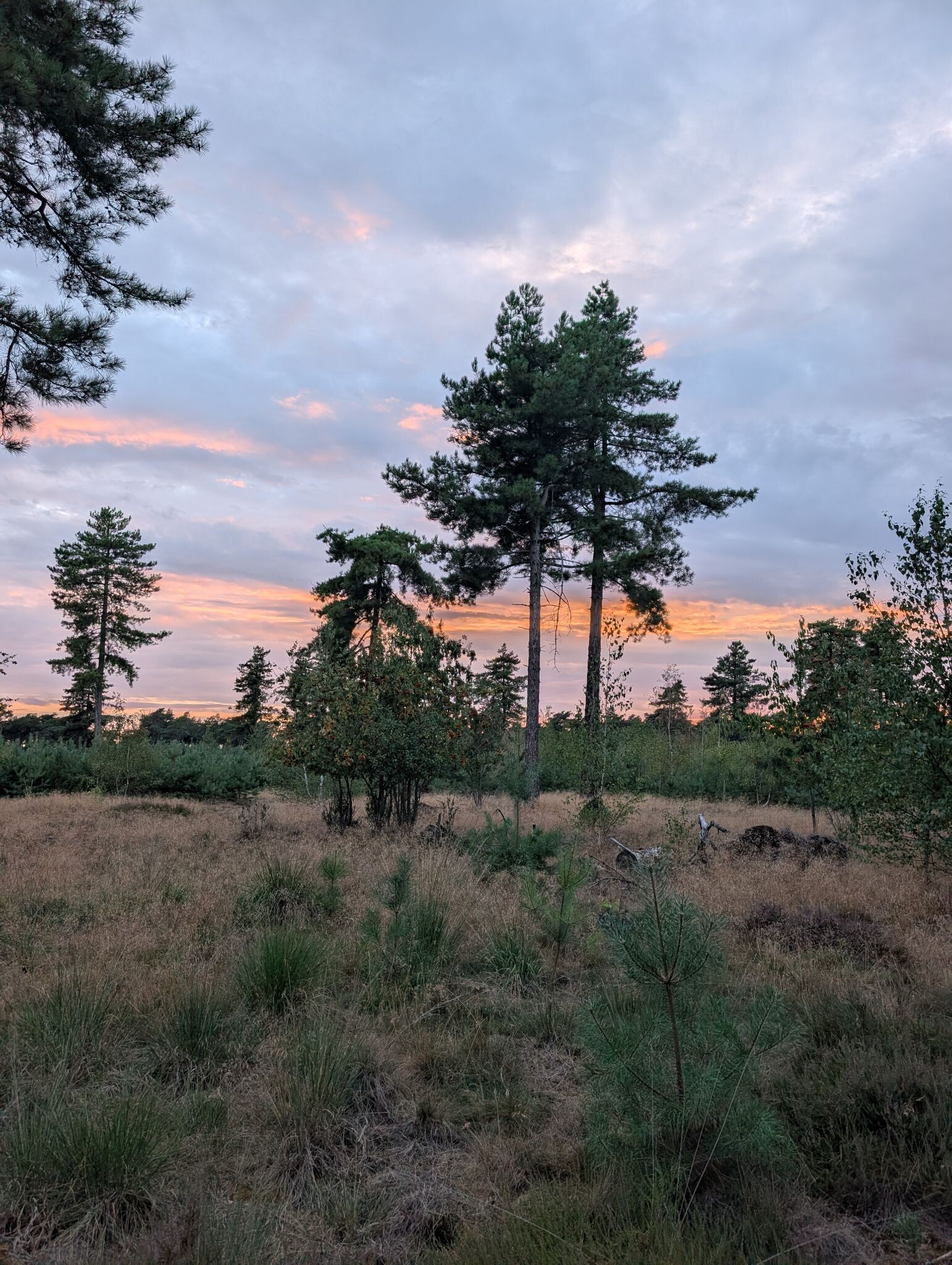 Avondwandeling vanaf Wylderwoods