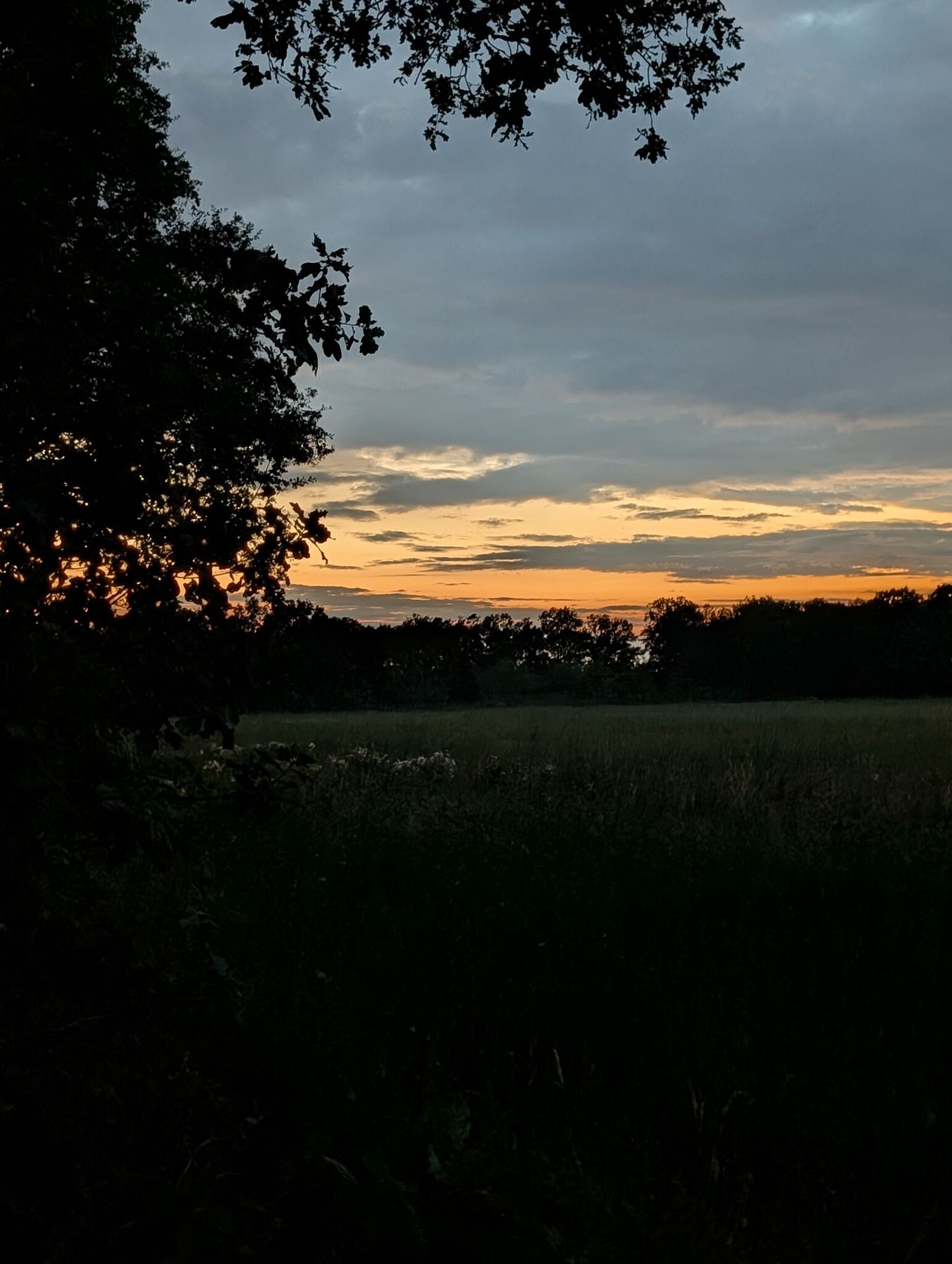 Foto van opname