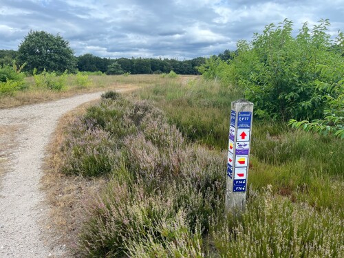 Trekvogelpad