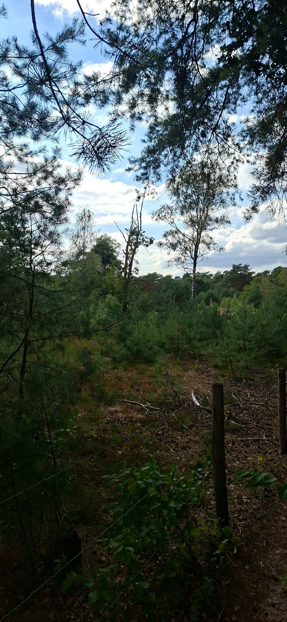 Woudenberg
