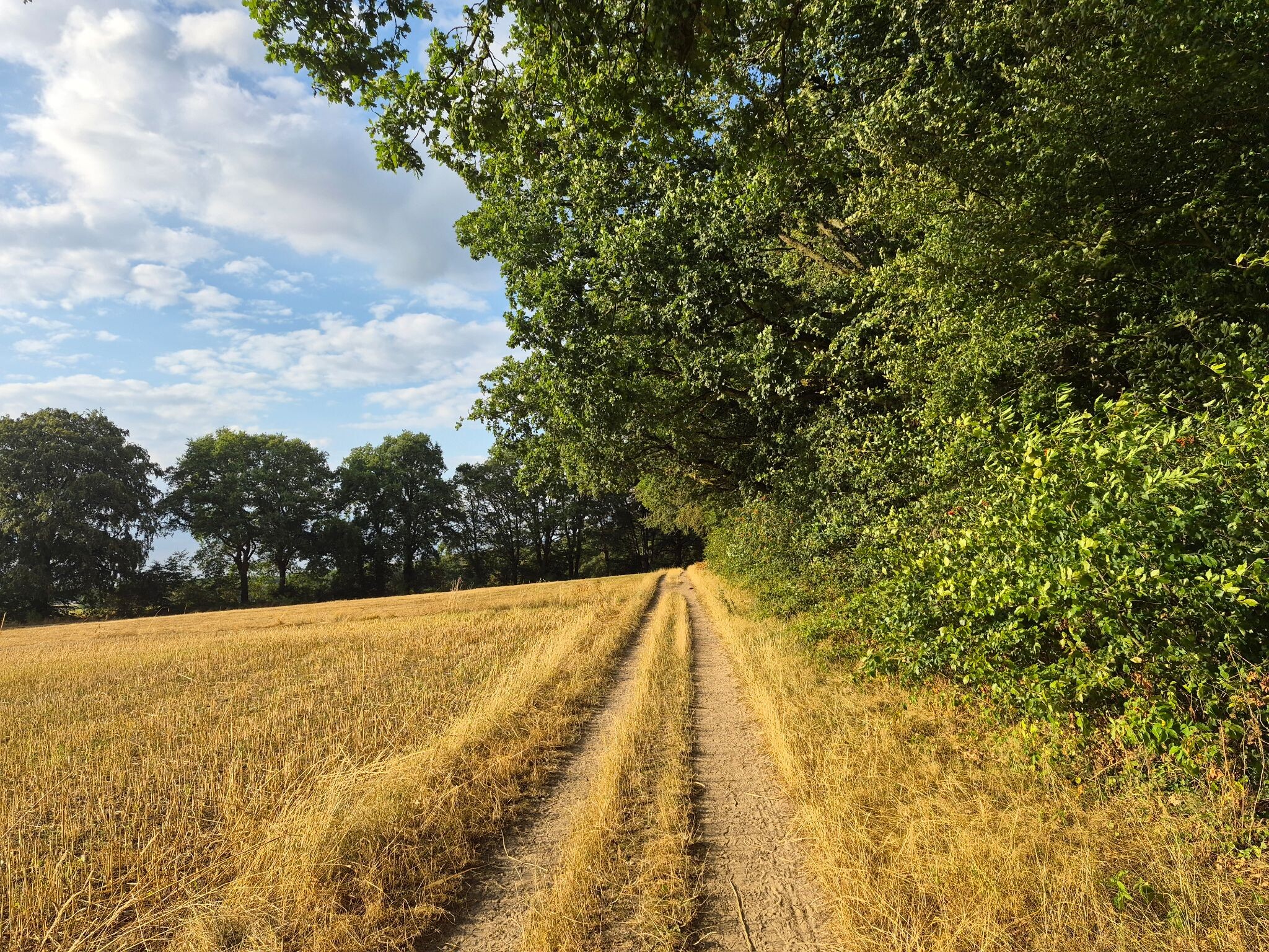 Hardlooproute Bergherbos in Beek, vlak bij Doetinchem