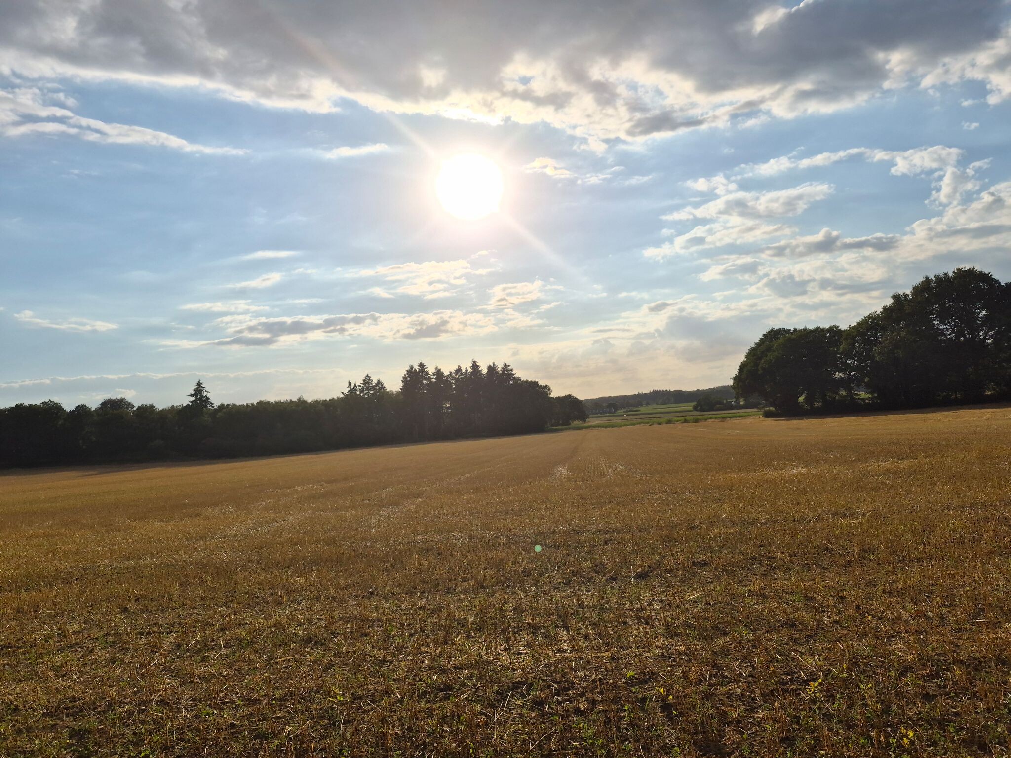 Stokkum