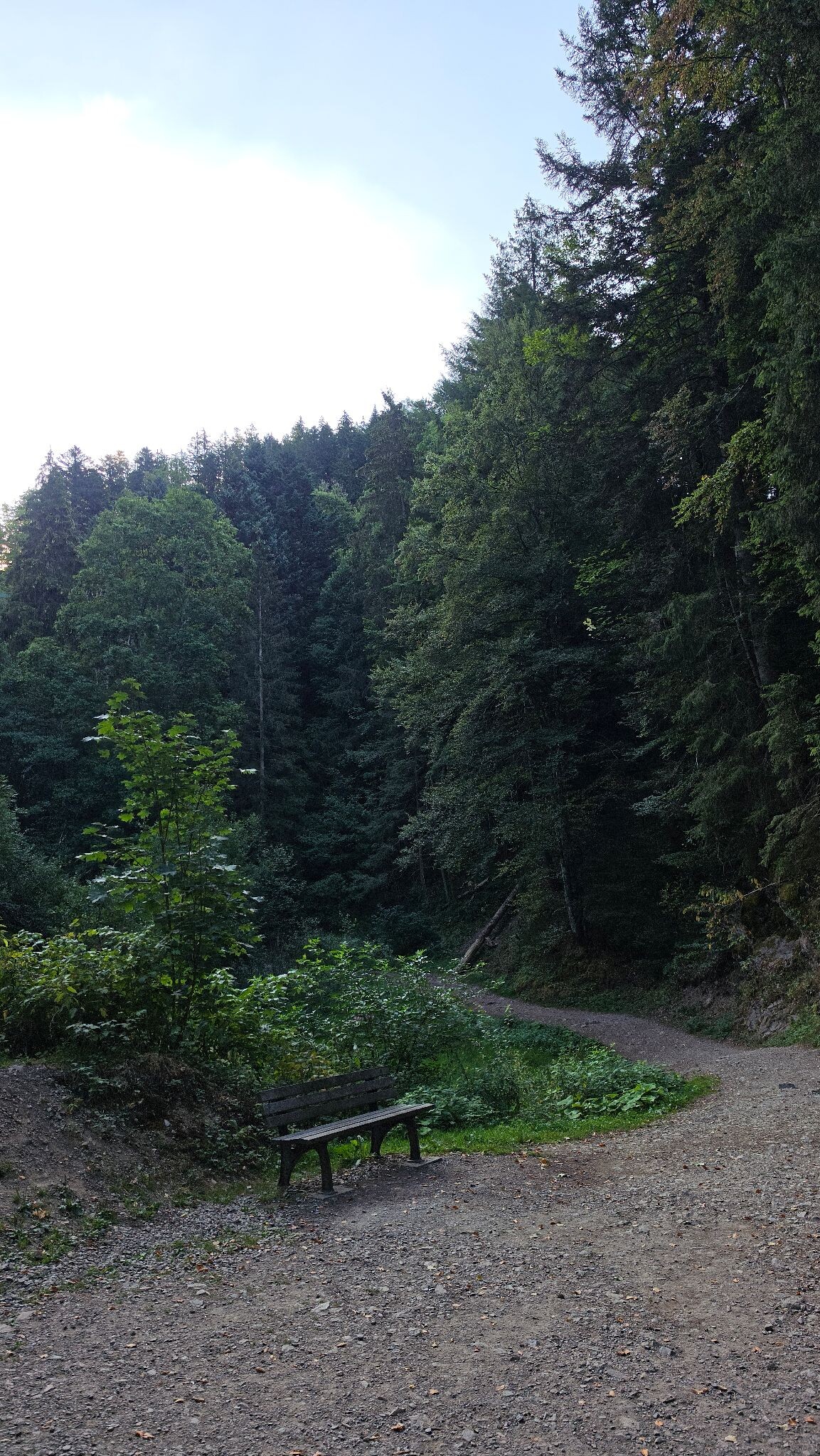 Breitnau