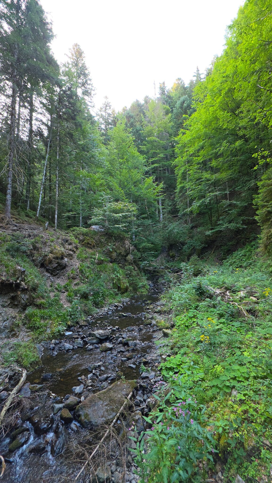 Ravennaschlucht Heimatpfad