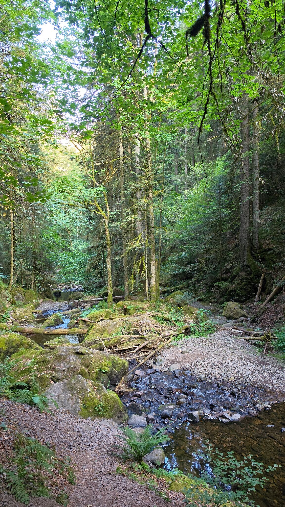 Ravennaschlucht Heimatpfad