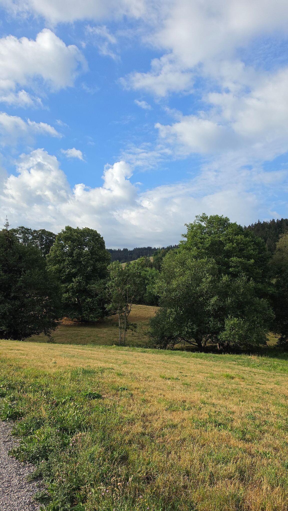 Ravennaschlucht Heimatpfad