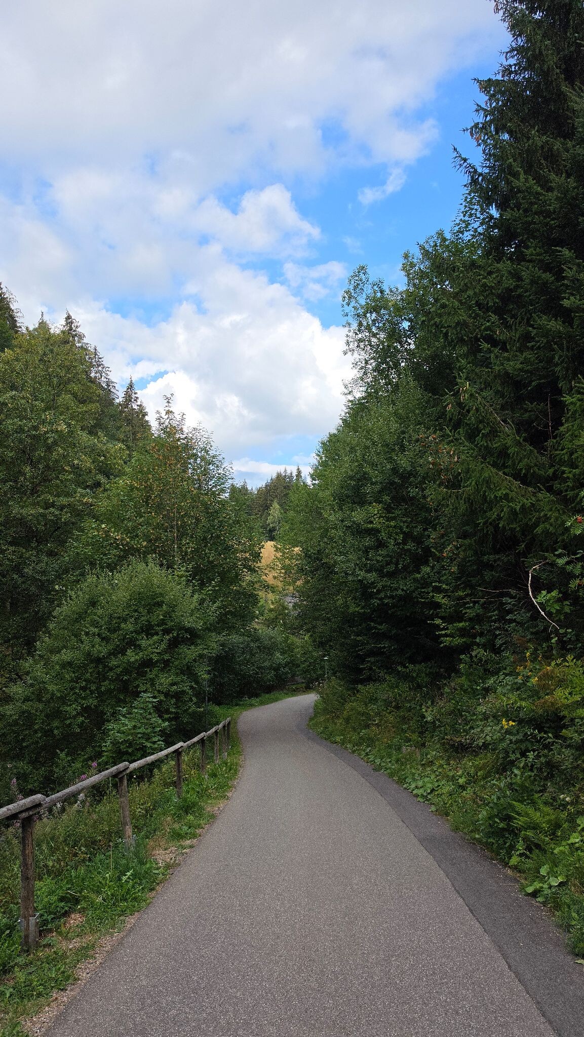 Ravennaschlucht Heimatpfad