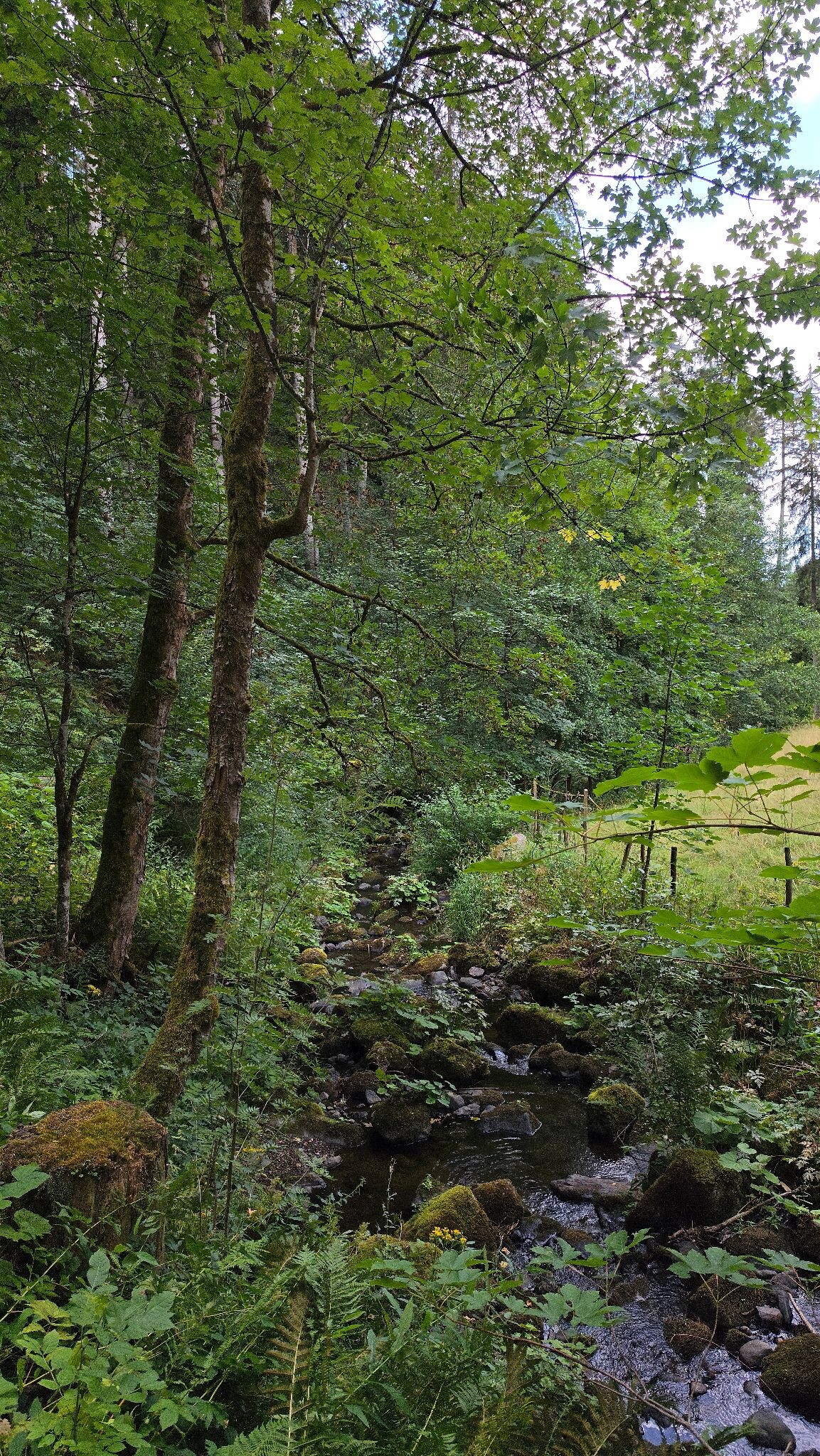 Eingang Löffeltal - Unterführung B31